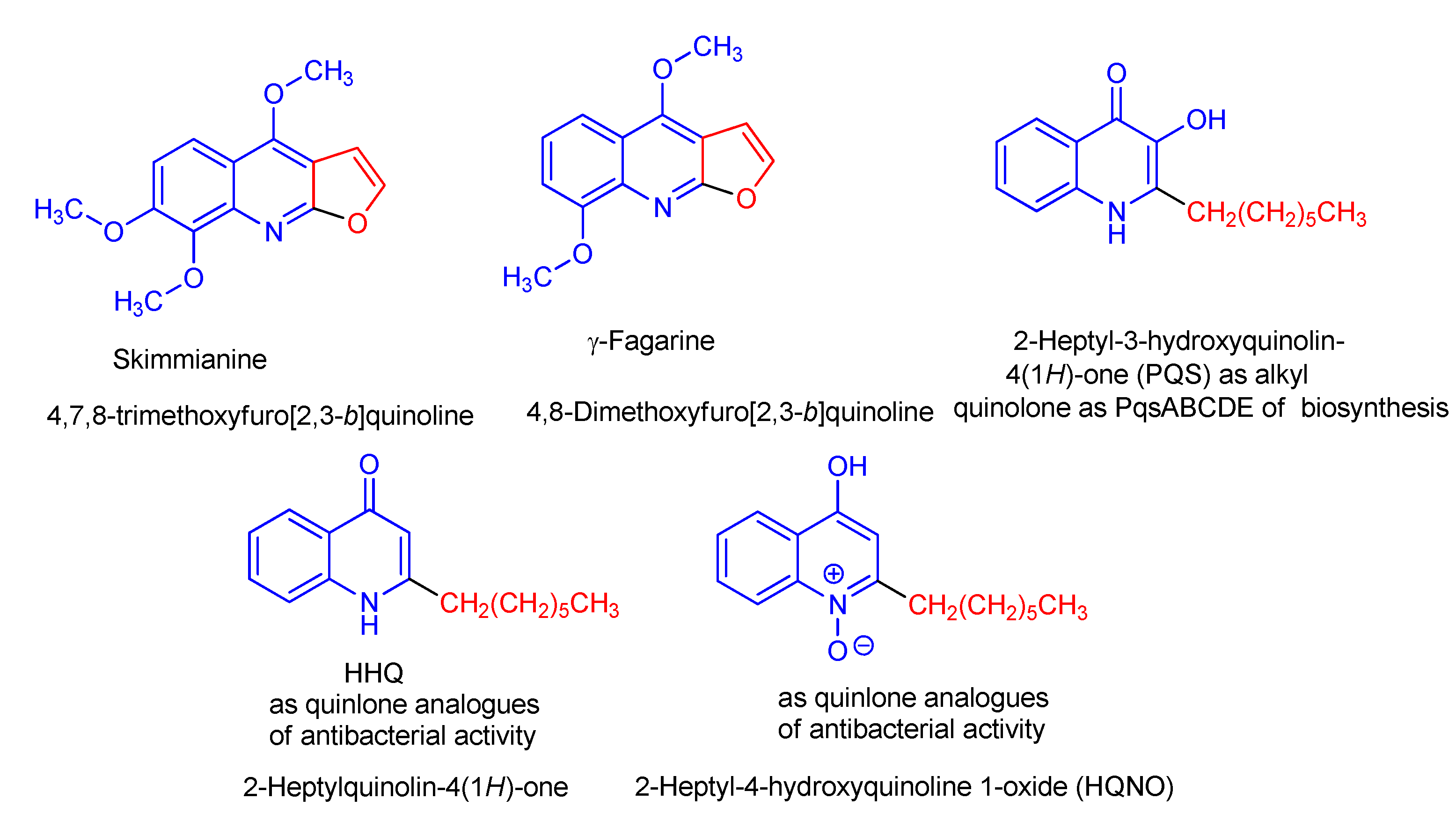 Molecules 24 03782 g001
