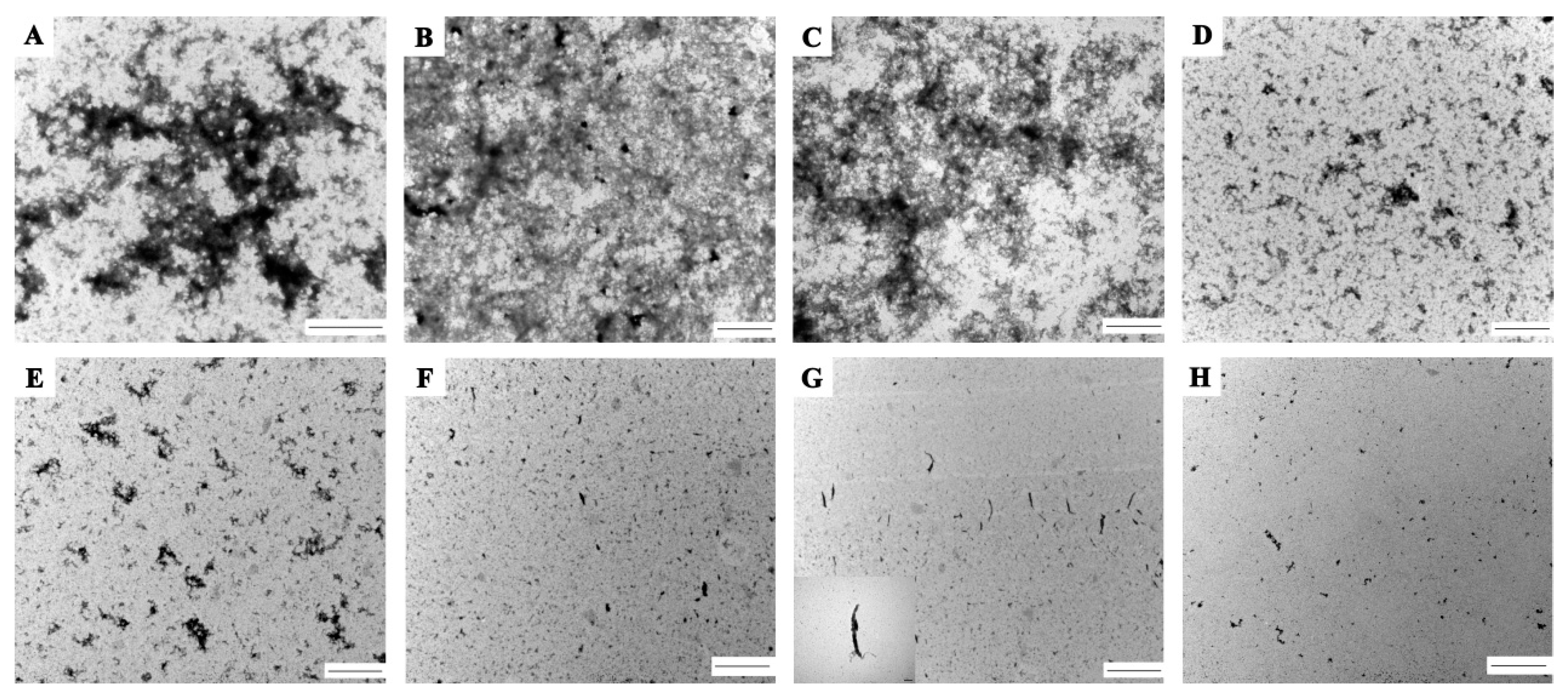 Molecules 24 03783 g008 Molecules 24 03783 g008