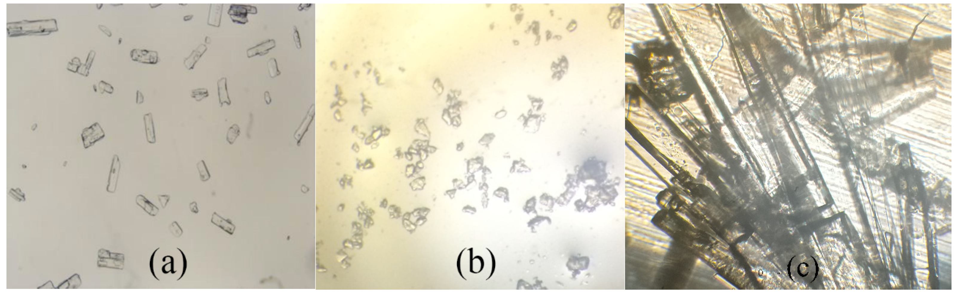Molecules 24 03786 g003 Molecules 24 03786 g003