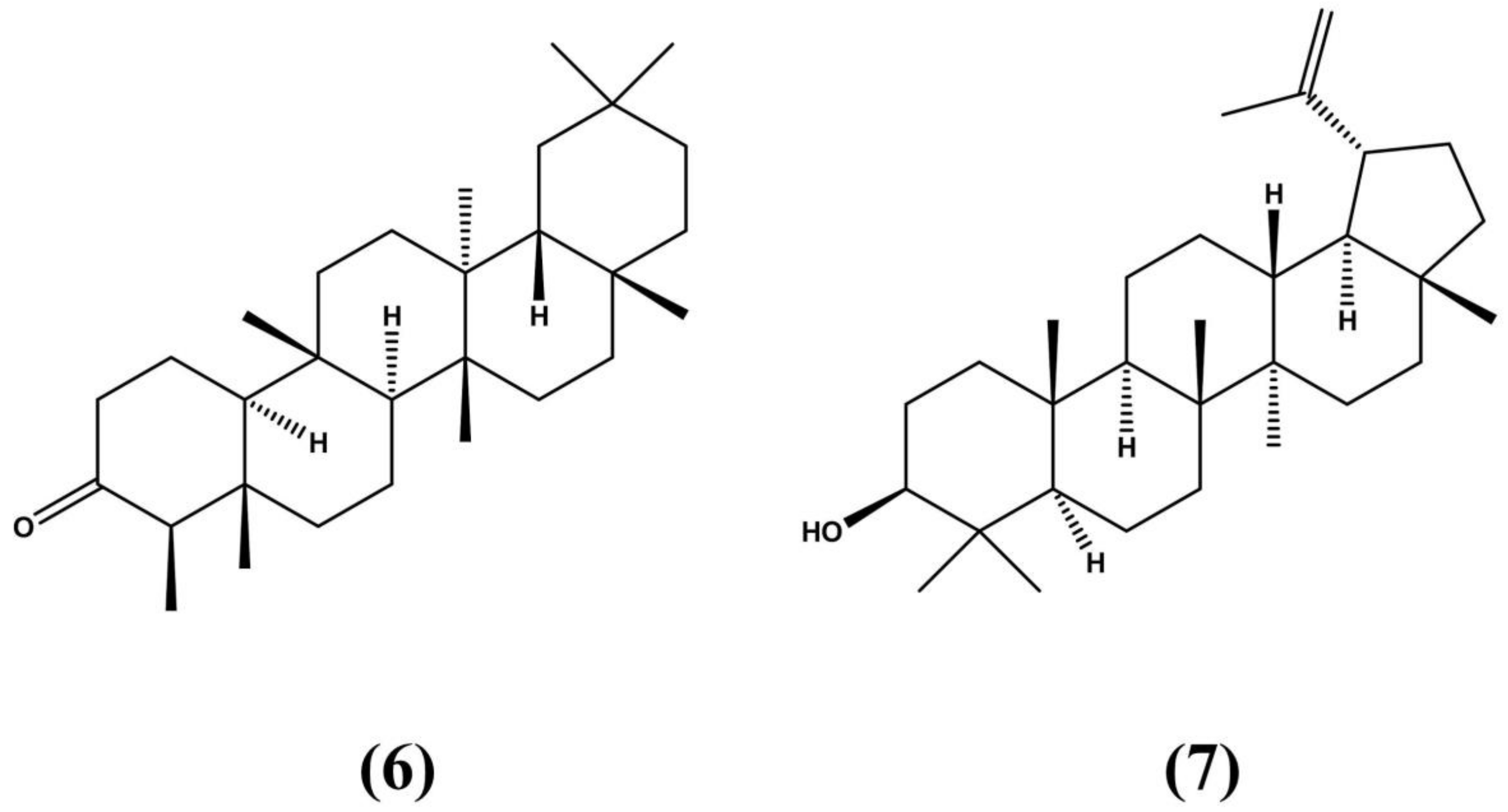 Molecules 24 03788 g004