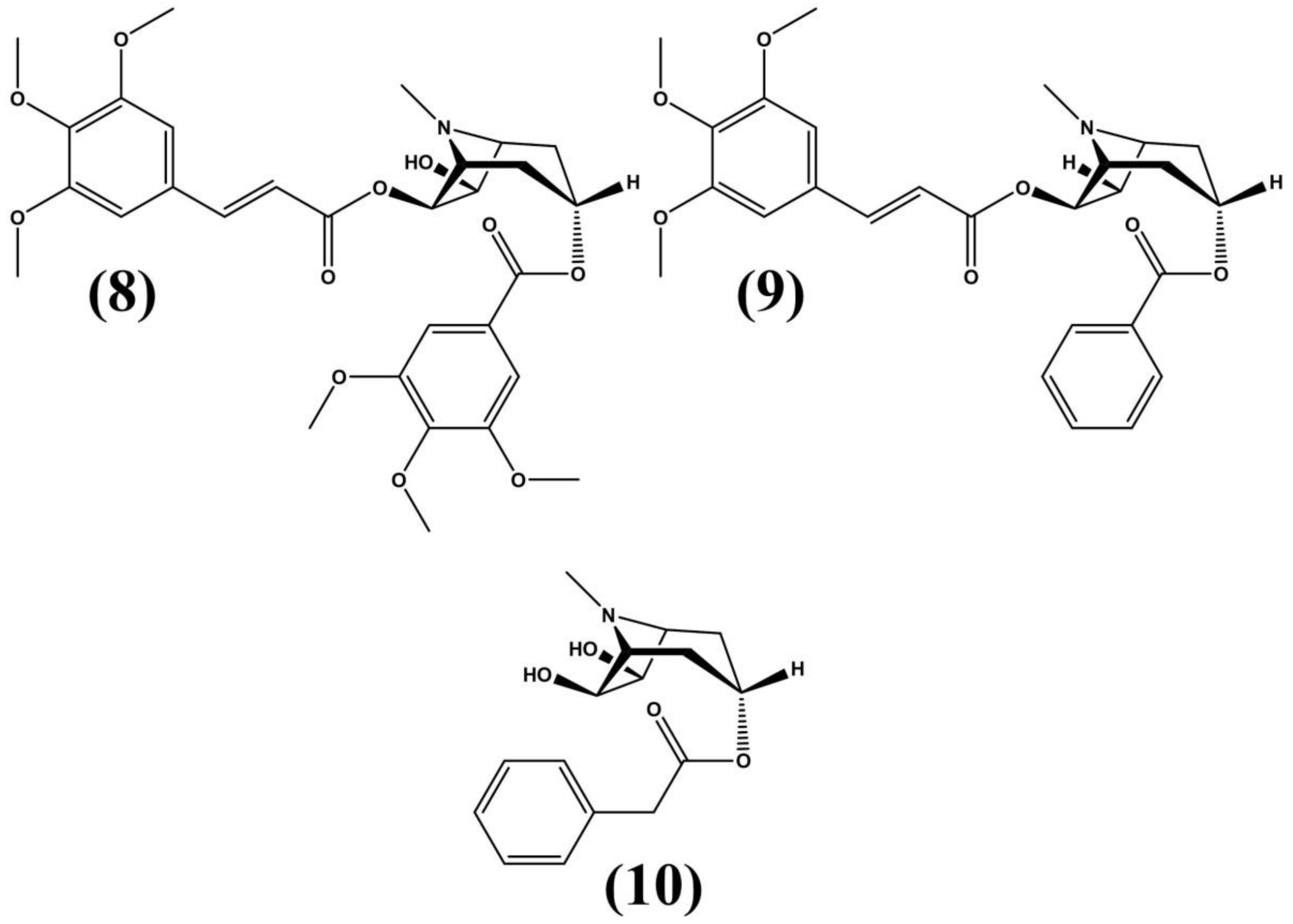 Molecules 24 03788 g005