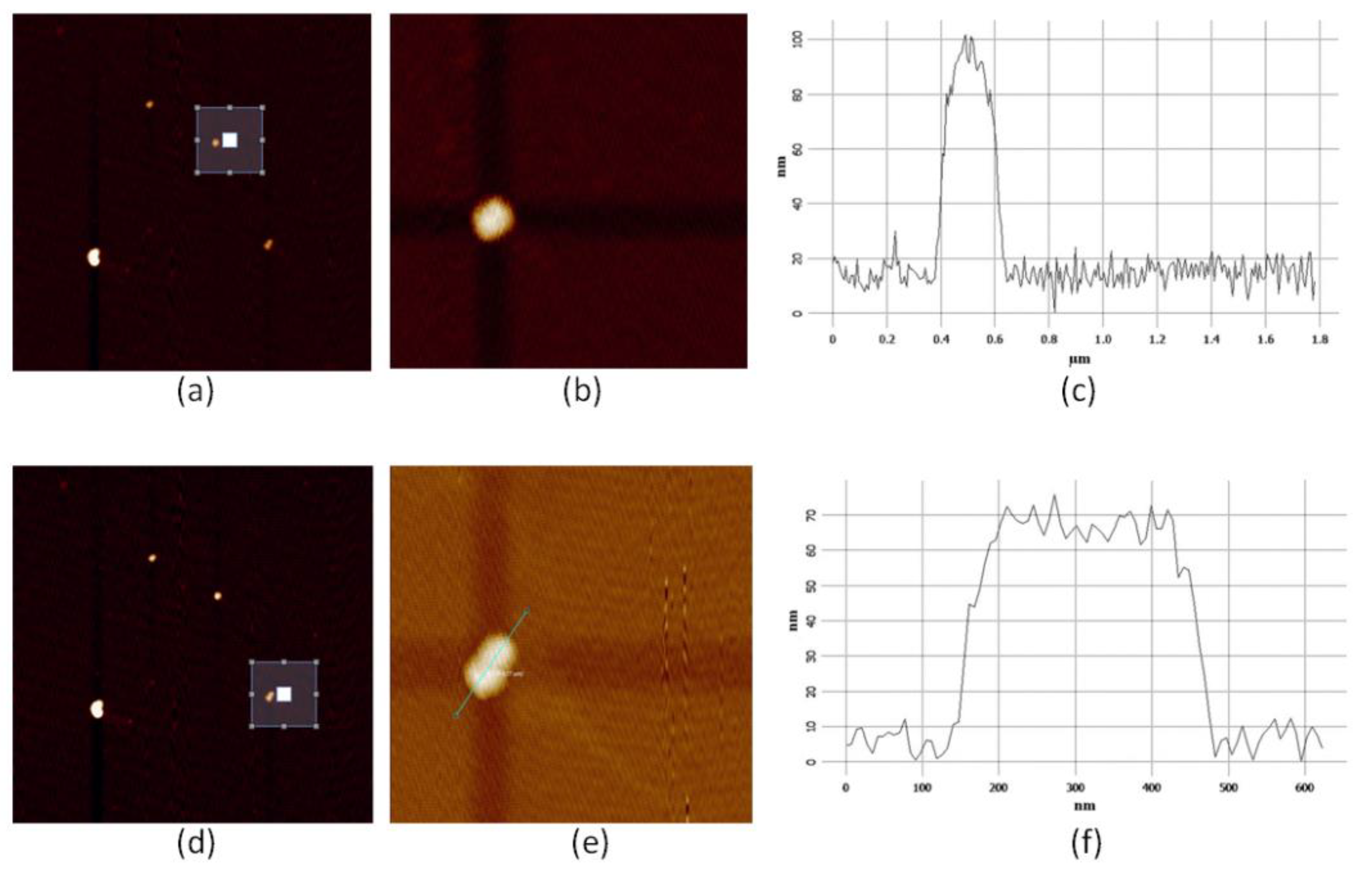 Molecules 24 03789 g002