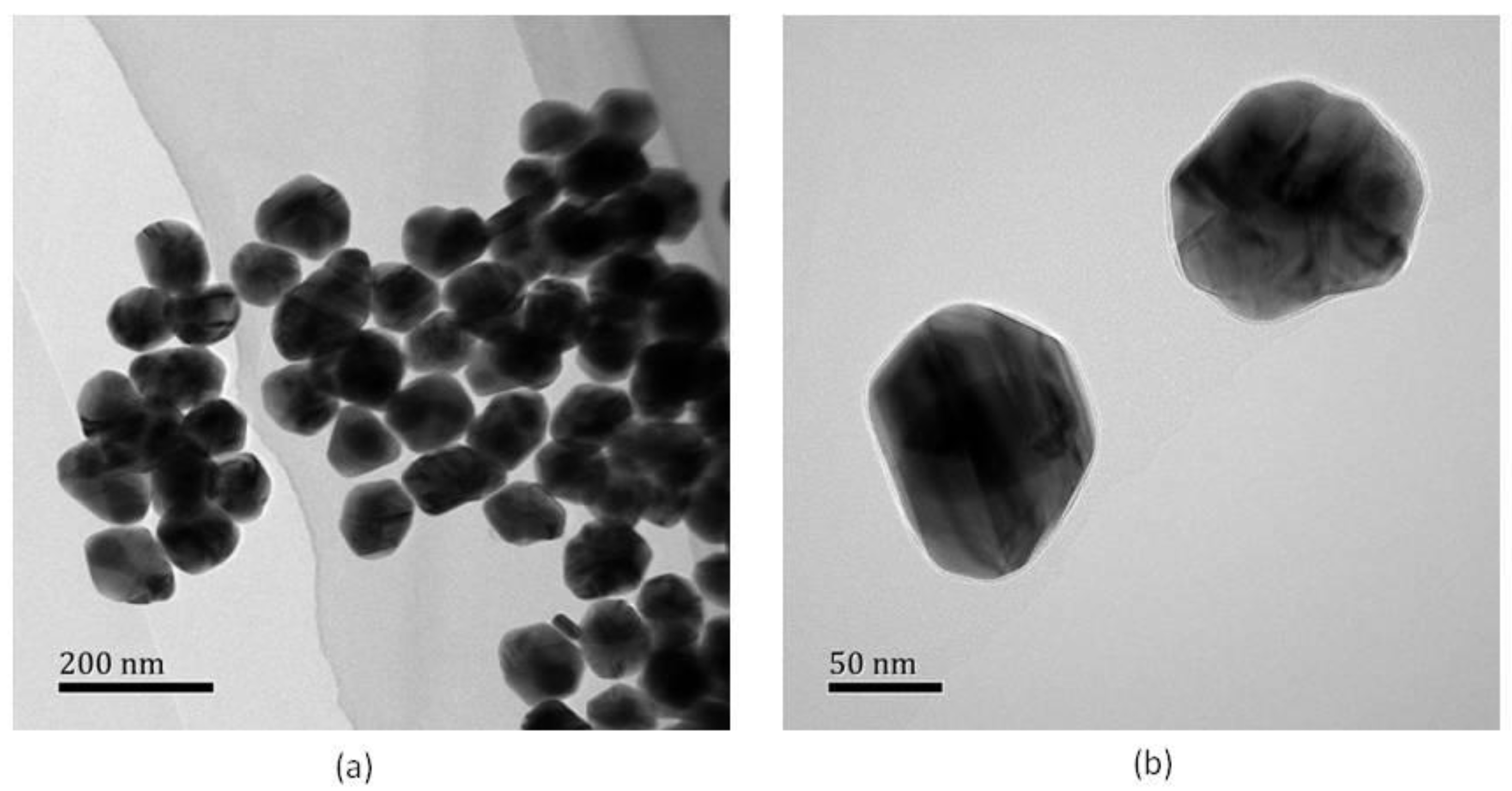 Molecules 24 03789 g010