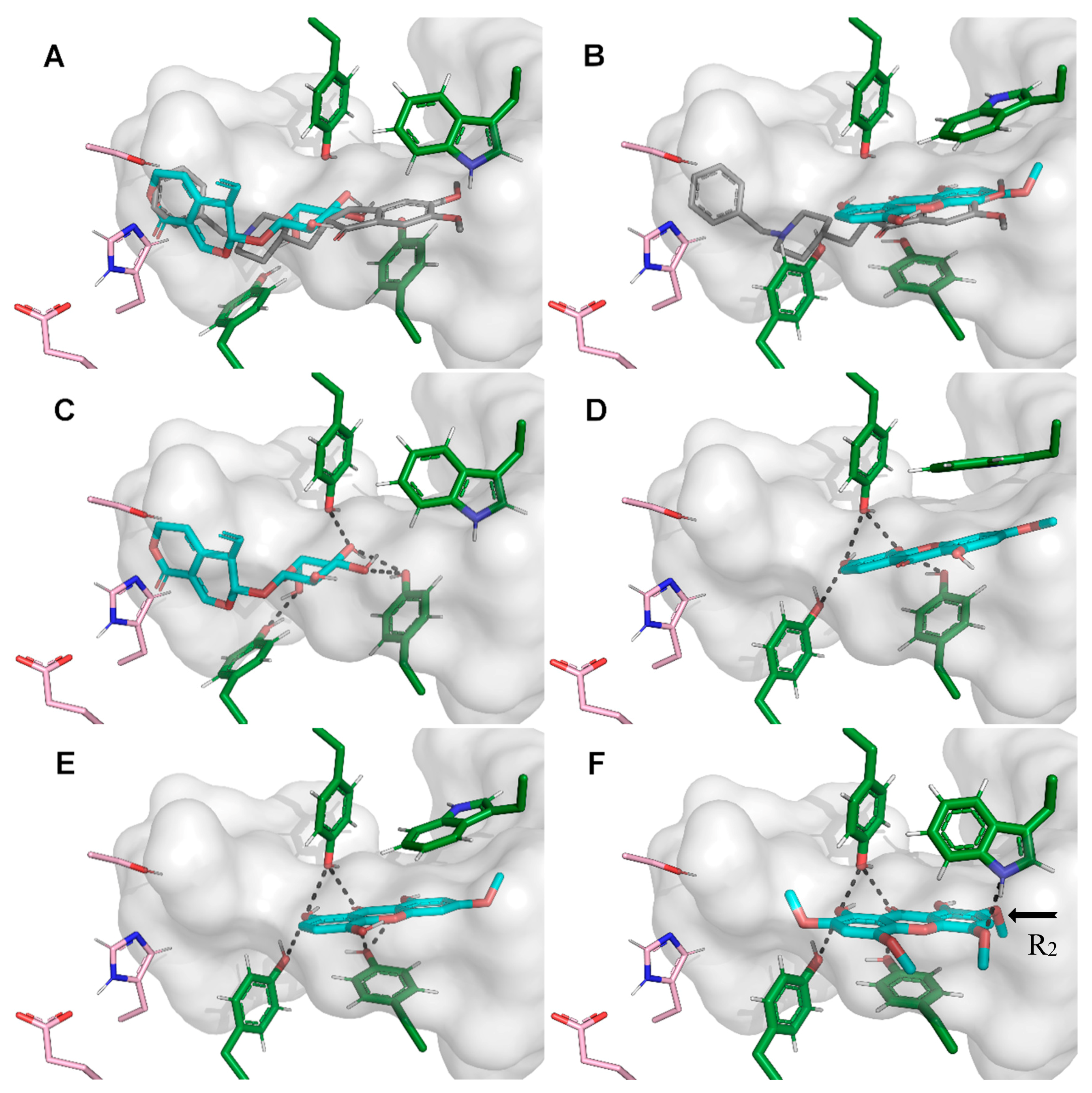 Molecules 24 03795 g004