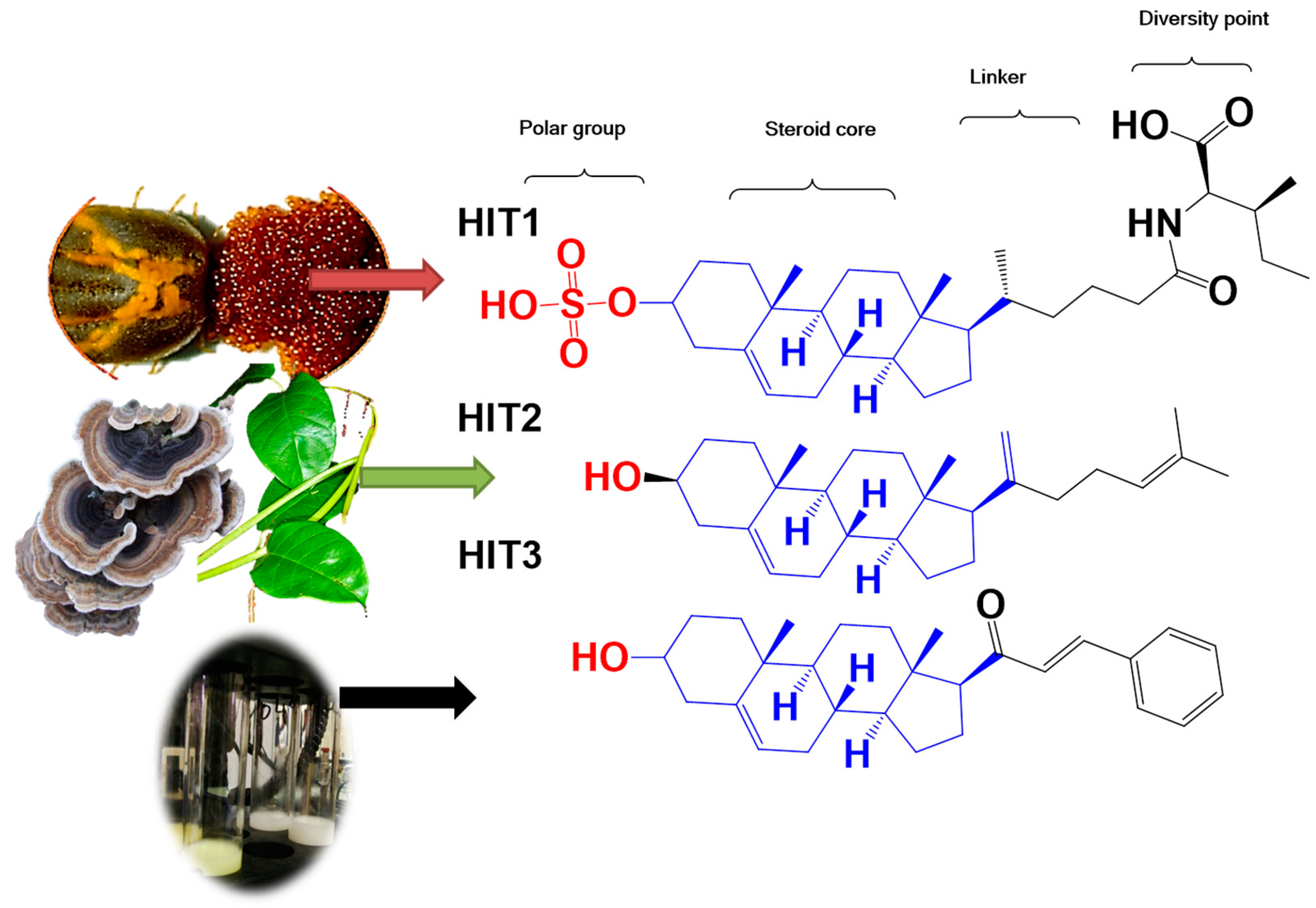 Molecules 24 03800 g001