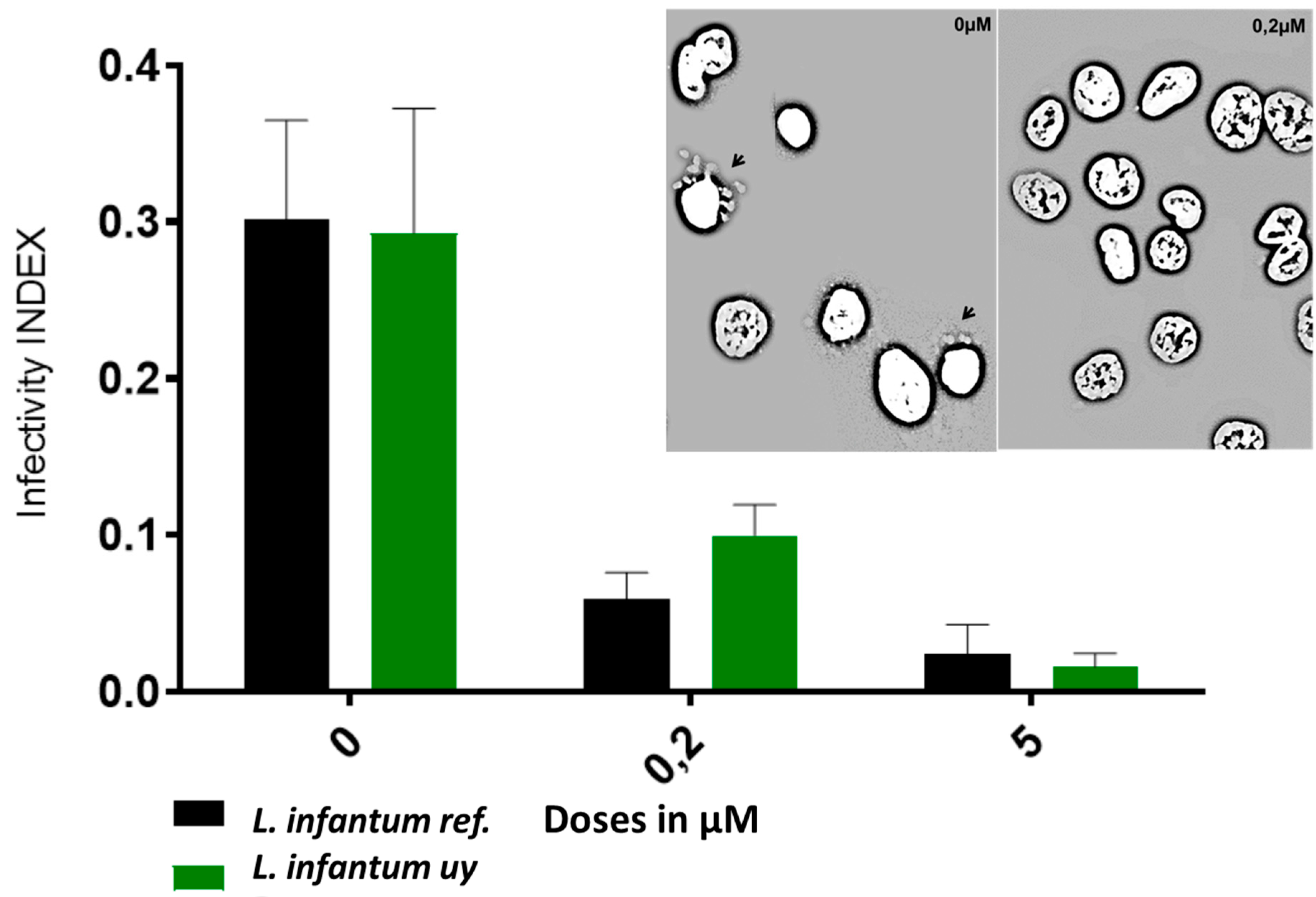 Molecules 24 03800 g003