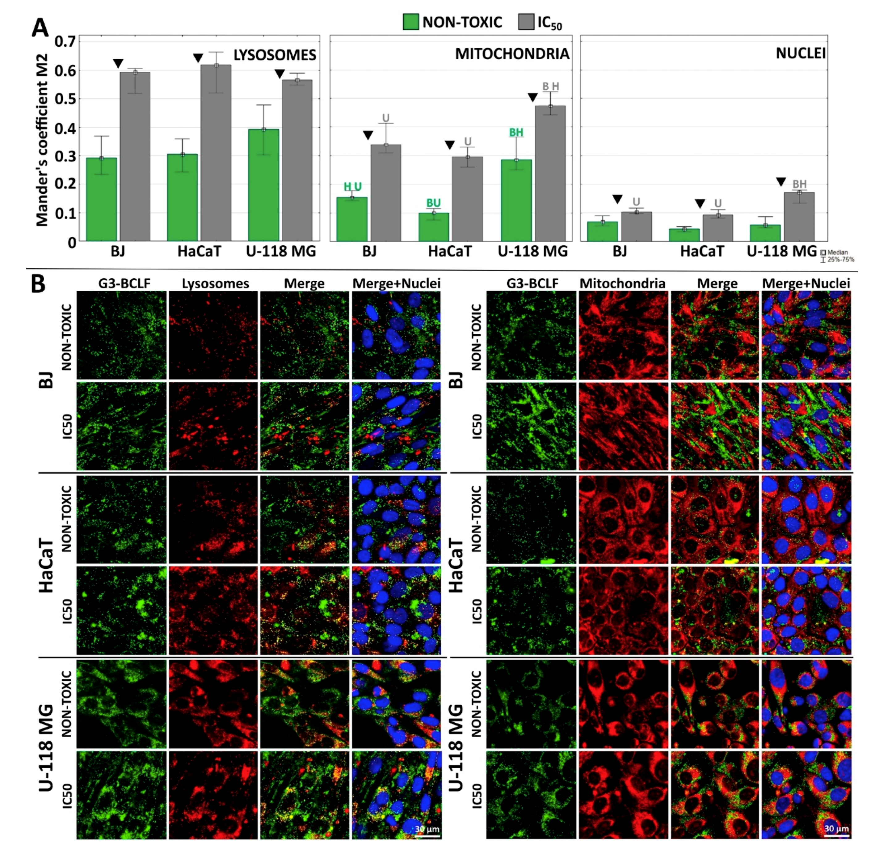 Molecules 24 03801 g004
