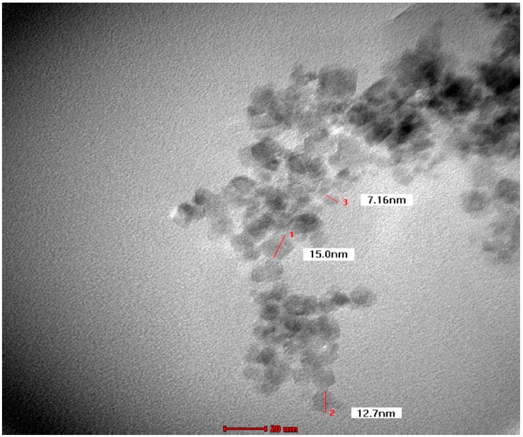Molecules 24 03803 g004 Molecules 24 03803 g004