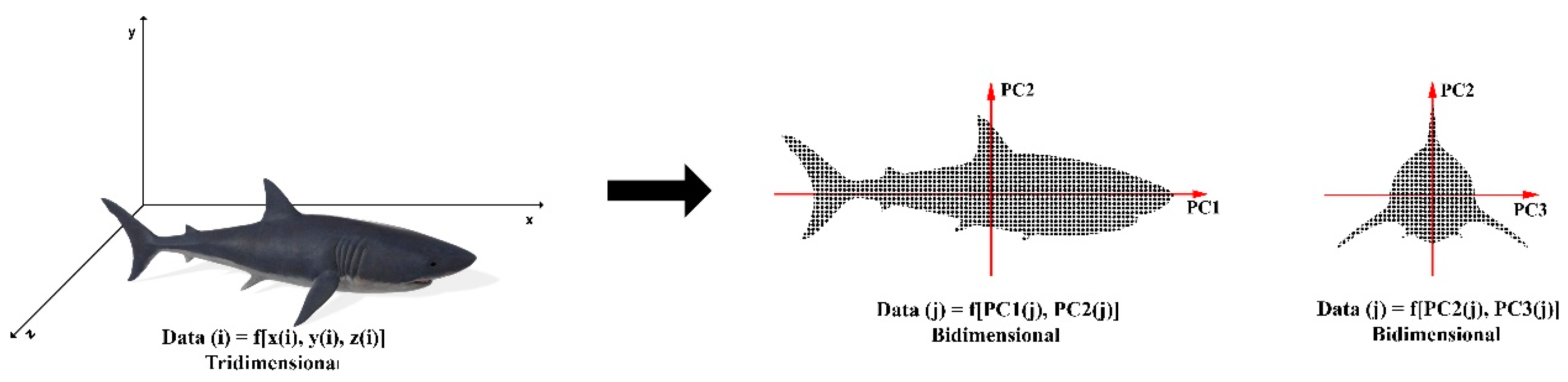 Molecules 24 03804 g002 Molecules 24 03804 g002