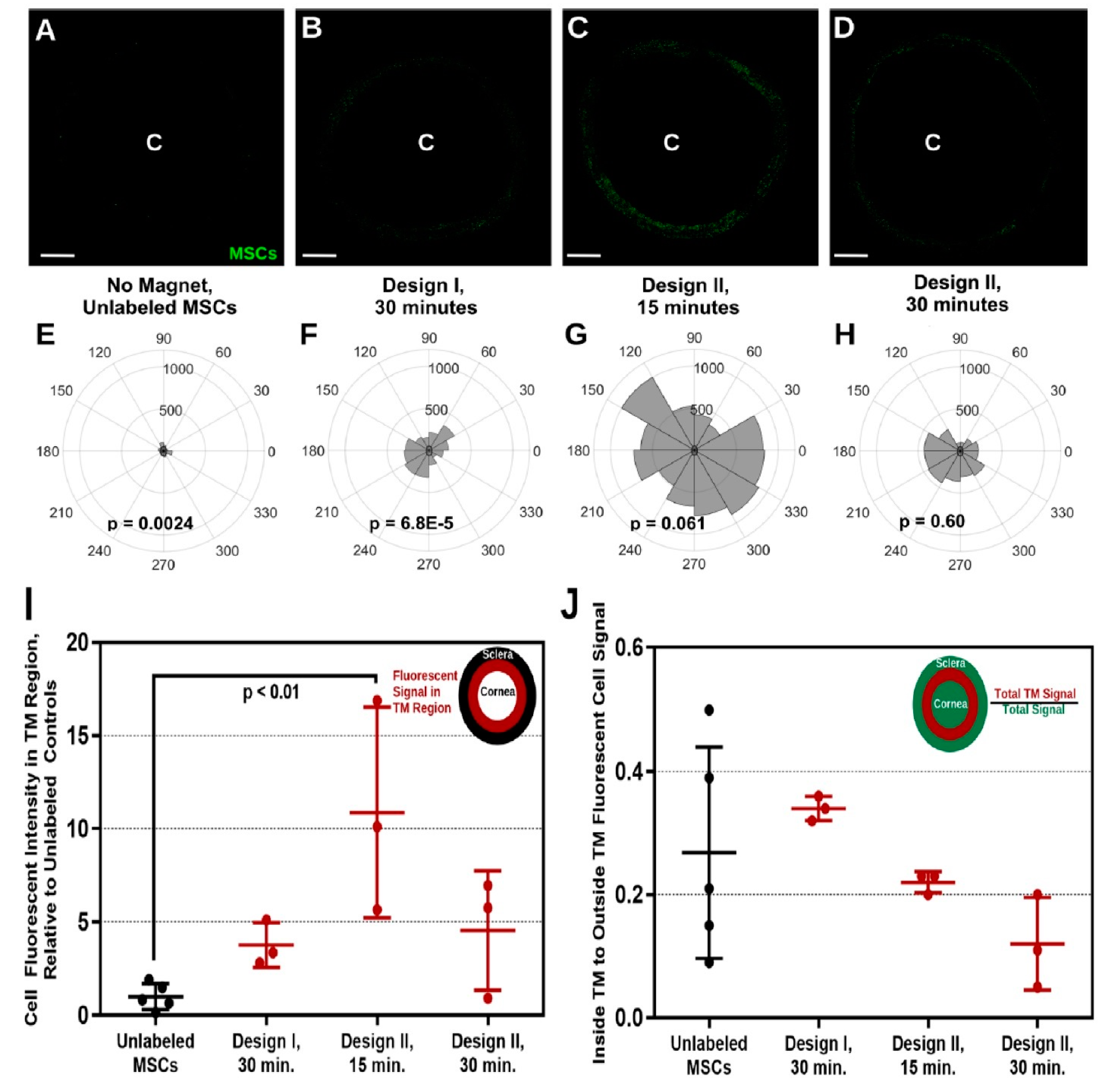 Molecules 24 03805 g010