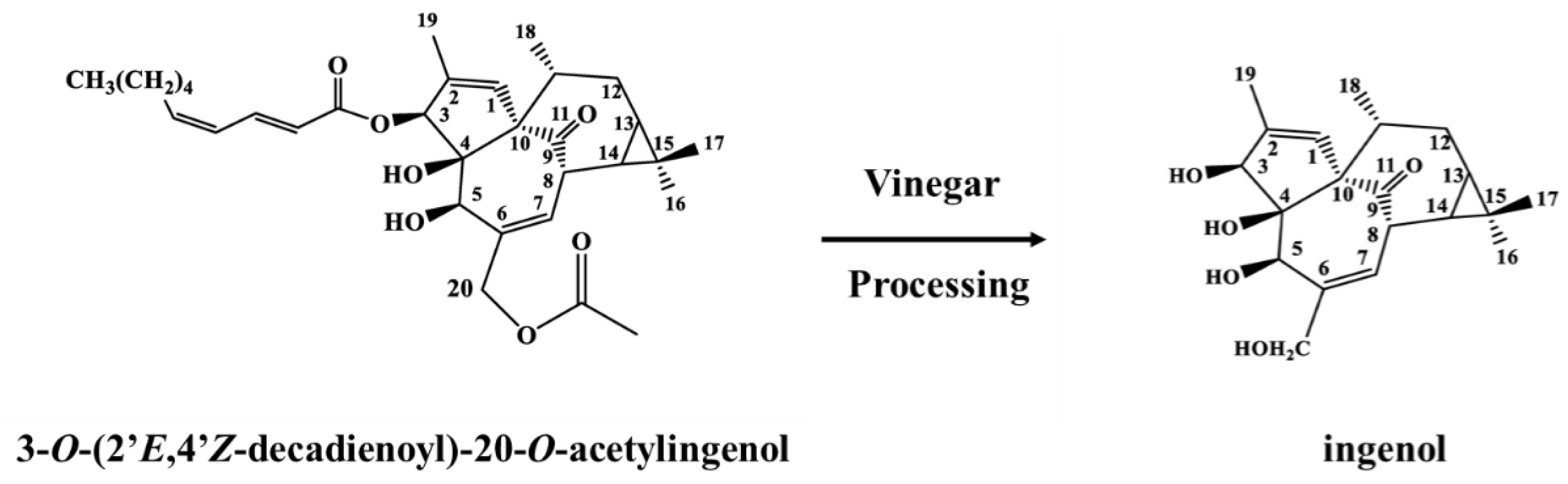 Molecules 24 03806 g001 Molecules 24 03806 g001