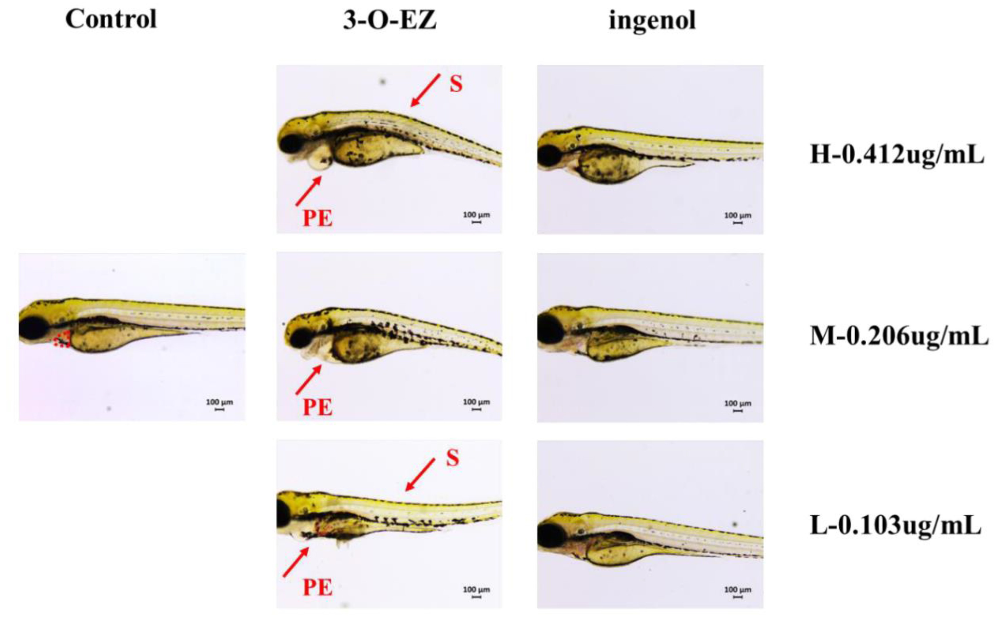 Molecules 24 03806 g003 Molecules 24 03806 g003