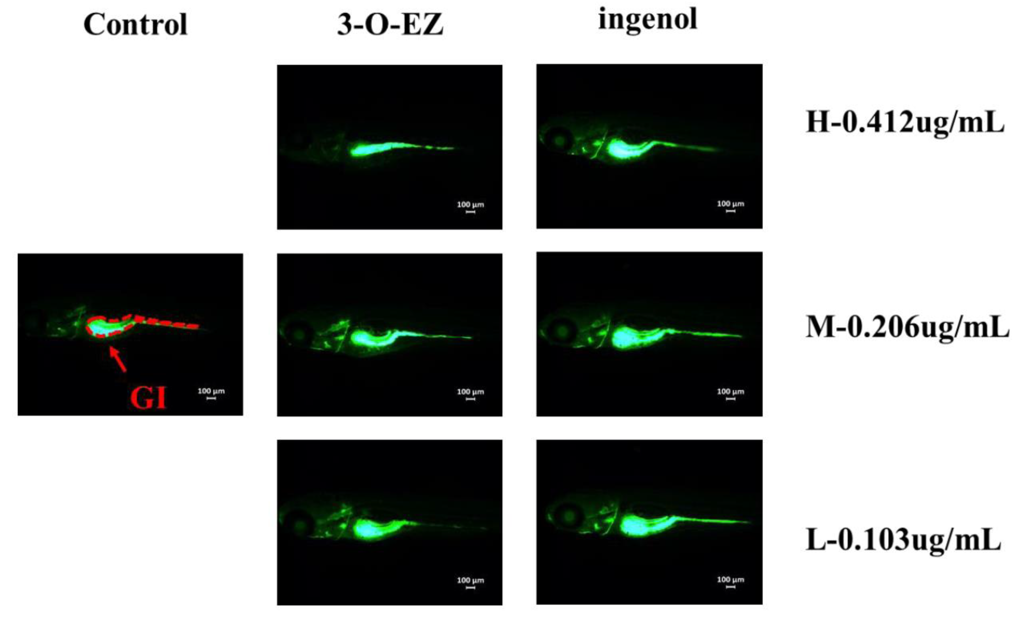 Molecules 24 03806 g005 Molecules 24 03806 g005