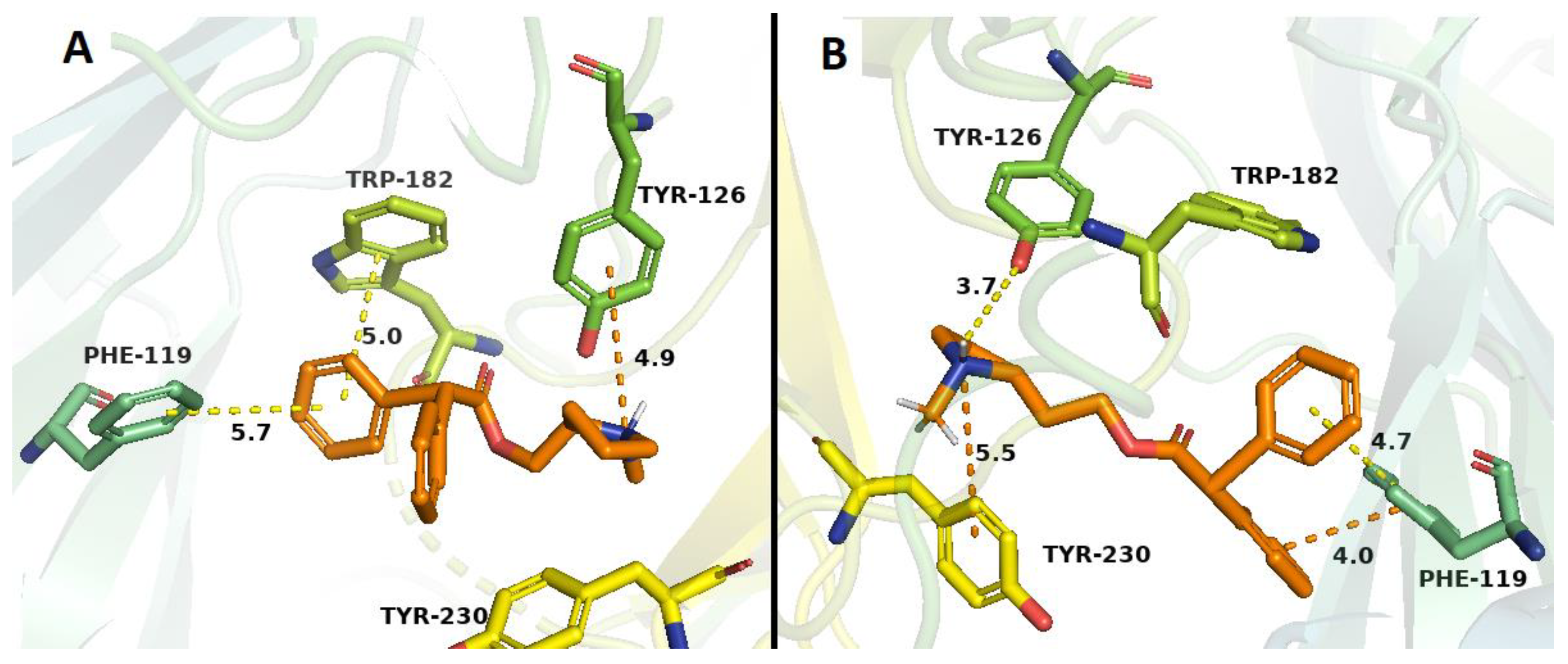 Molecules 24 03808 g007