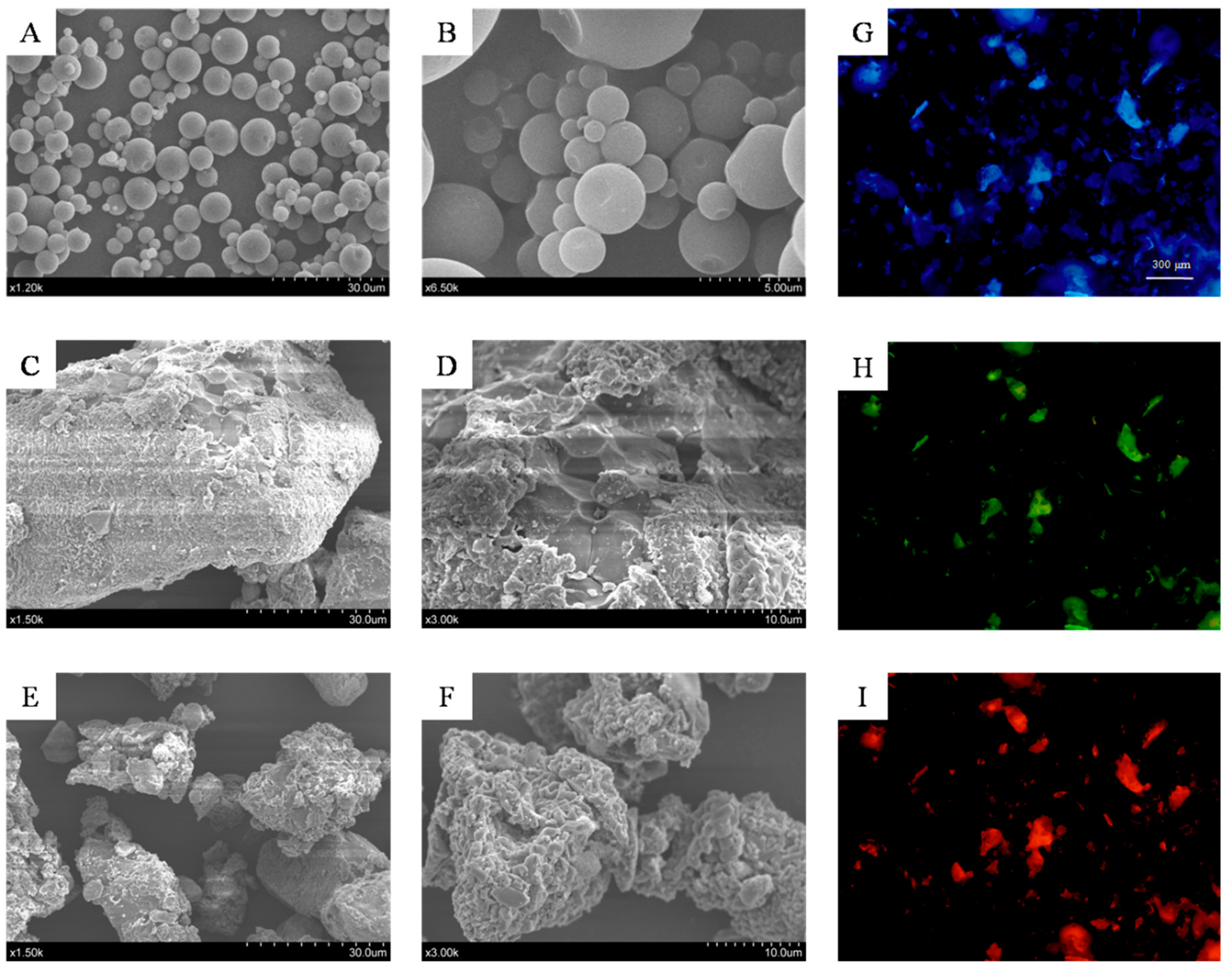 Molecules 24 03813 g001 Molecules 24 03813 g001
