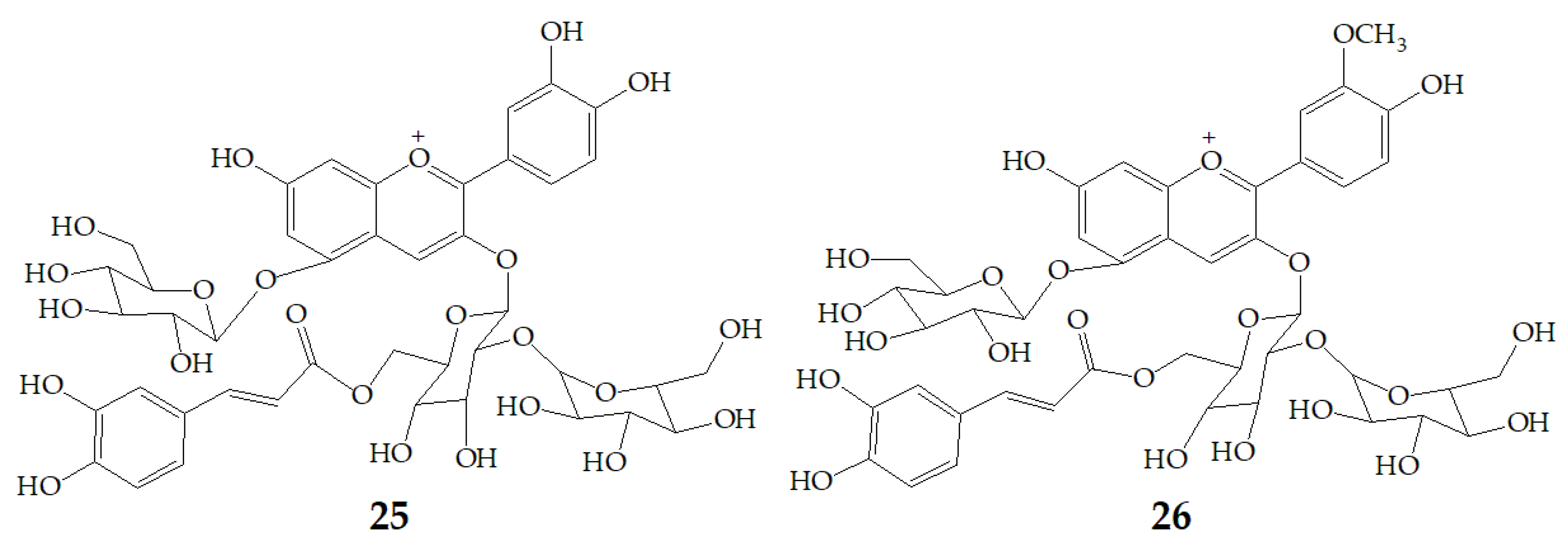 Molecules 24 03816 g006