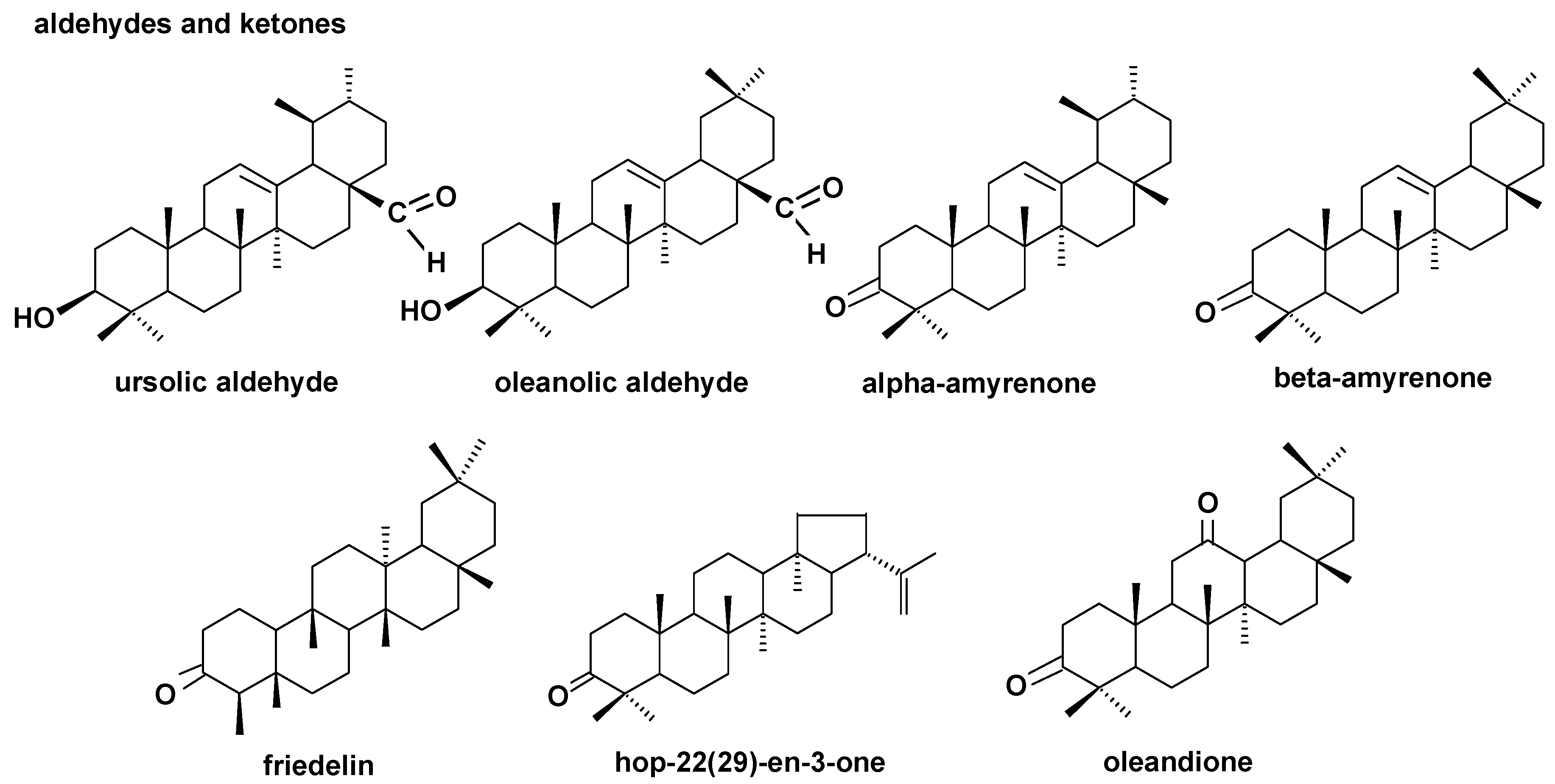 Molecules 24 03826 g005 Molecules 24 03826 g005