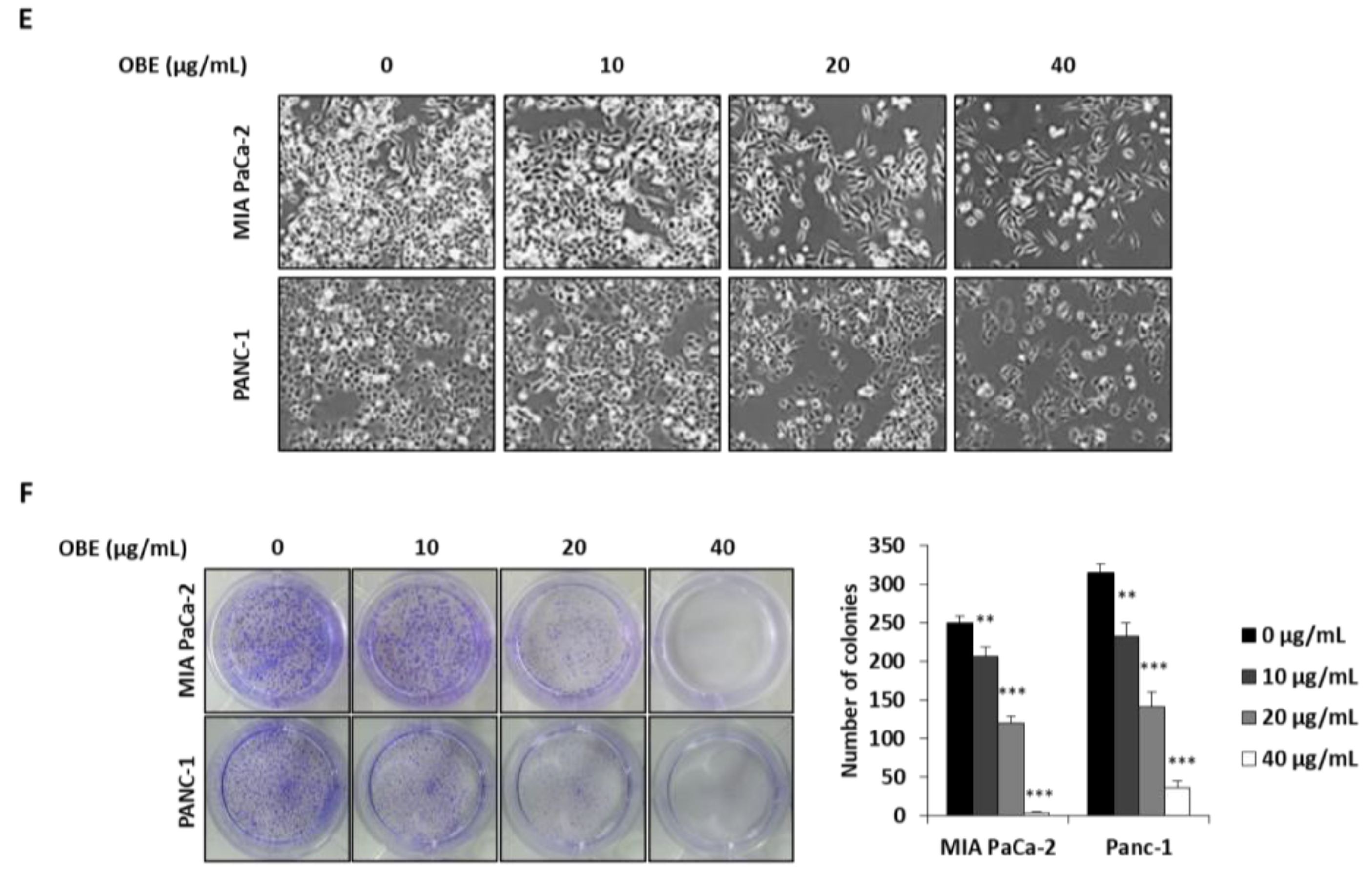 Molecules 24 03829 g001b Molecules 24 03829 g001b