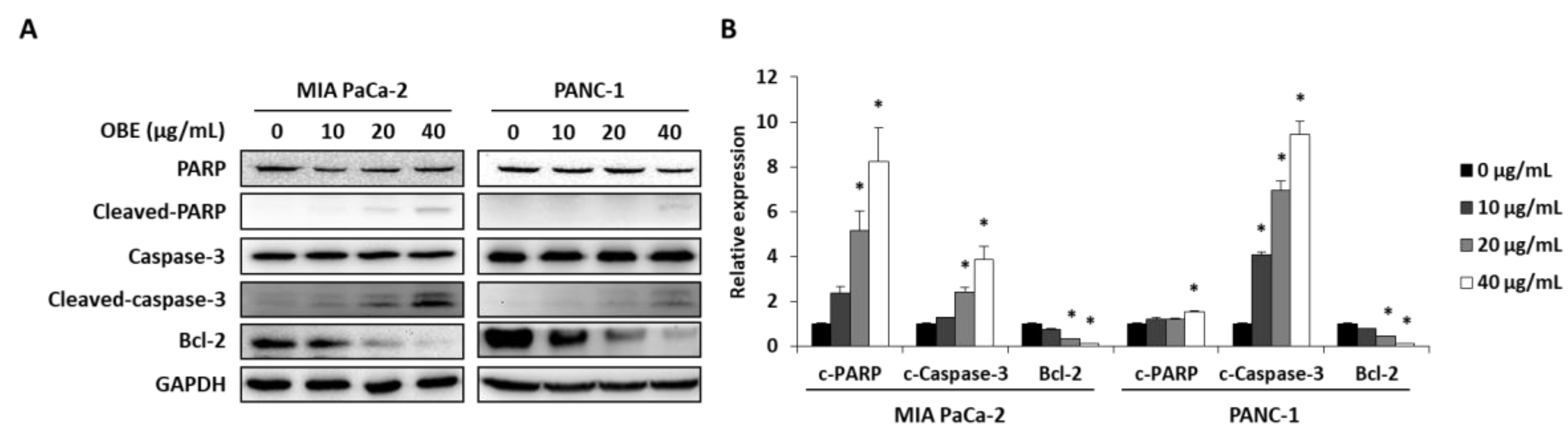 Molecules 24 03829 g004a Molecules 24 03829 g004a