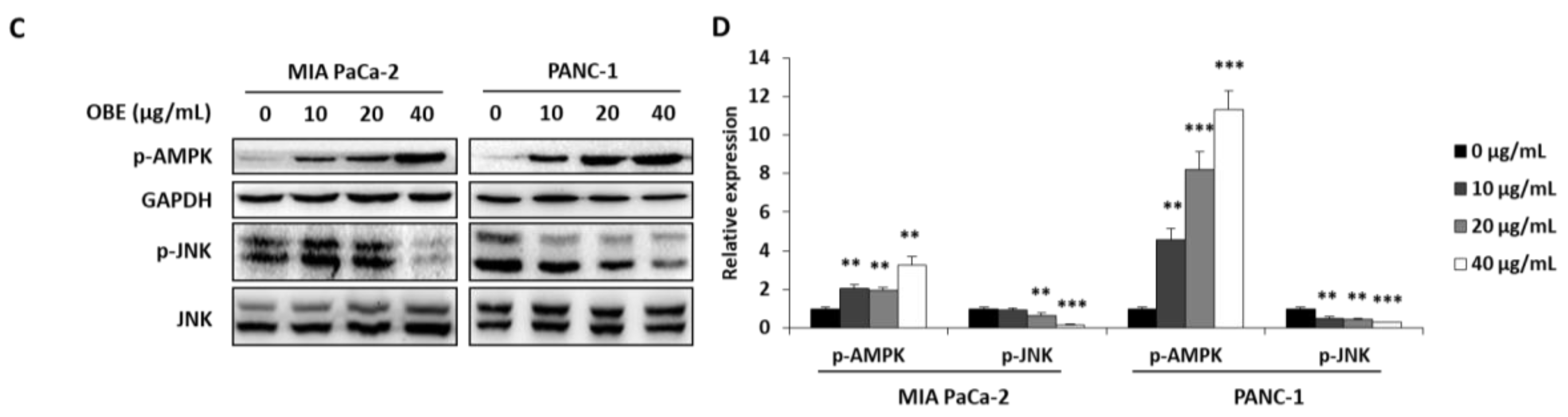 Molecules 24 03829 g004b Molecules 24 03829 g004b