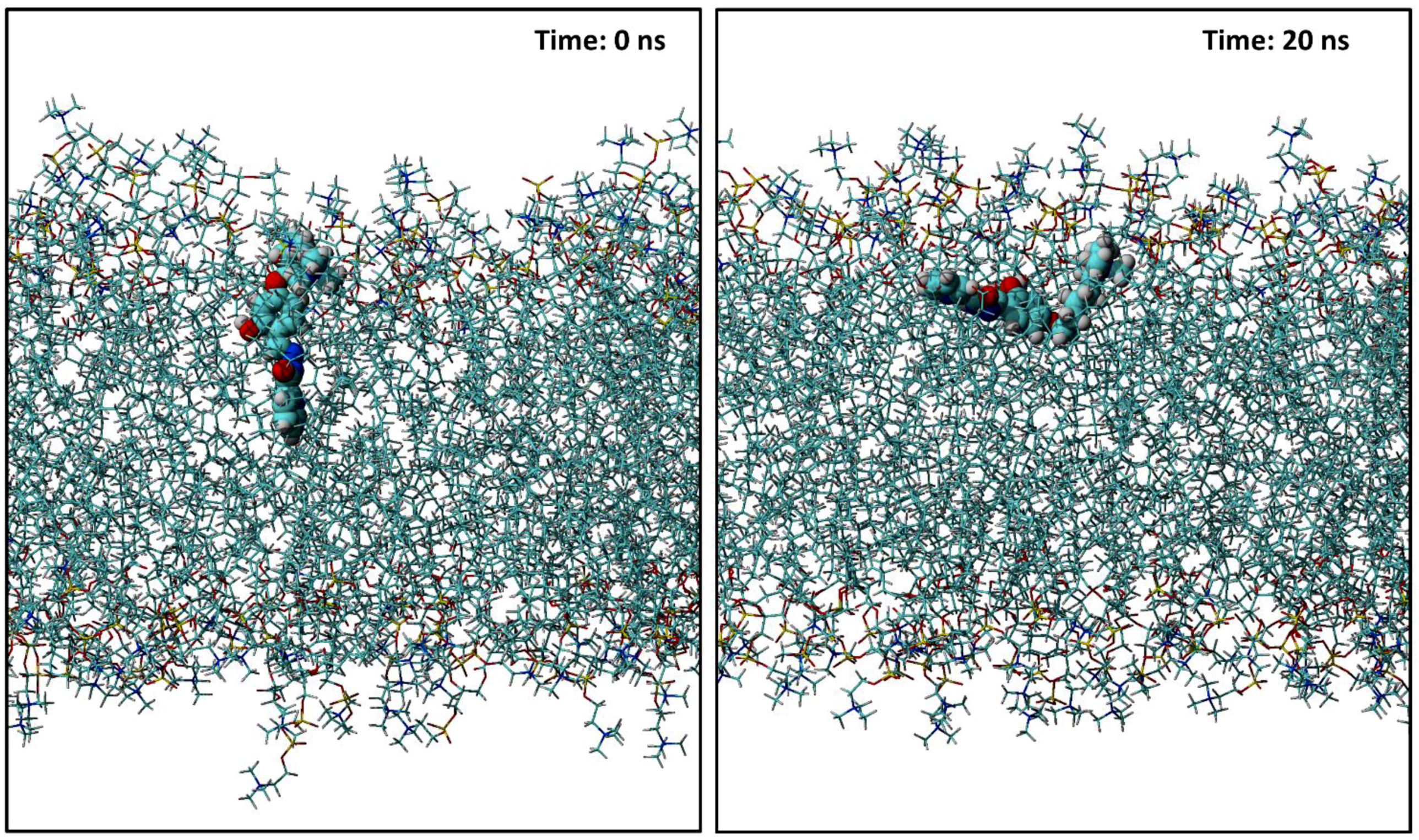 Molecules 24 03833 g011 Molecules 24 03833 g011
