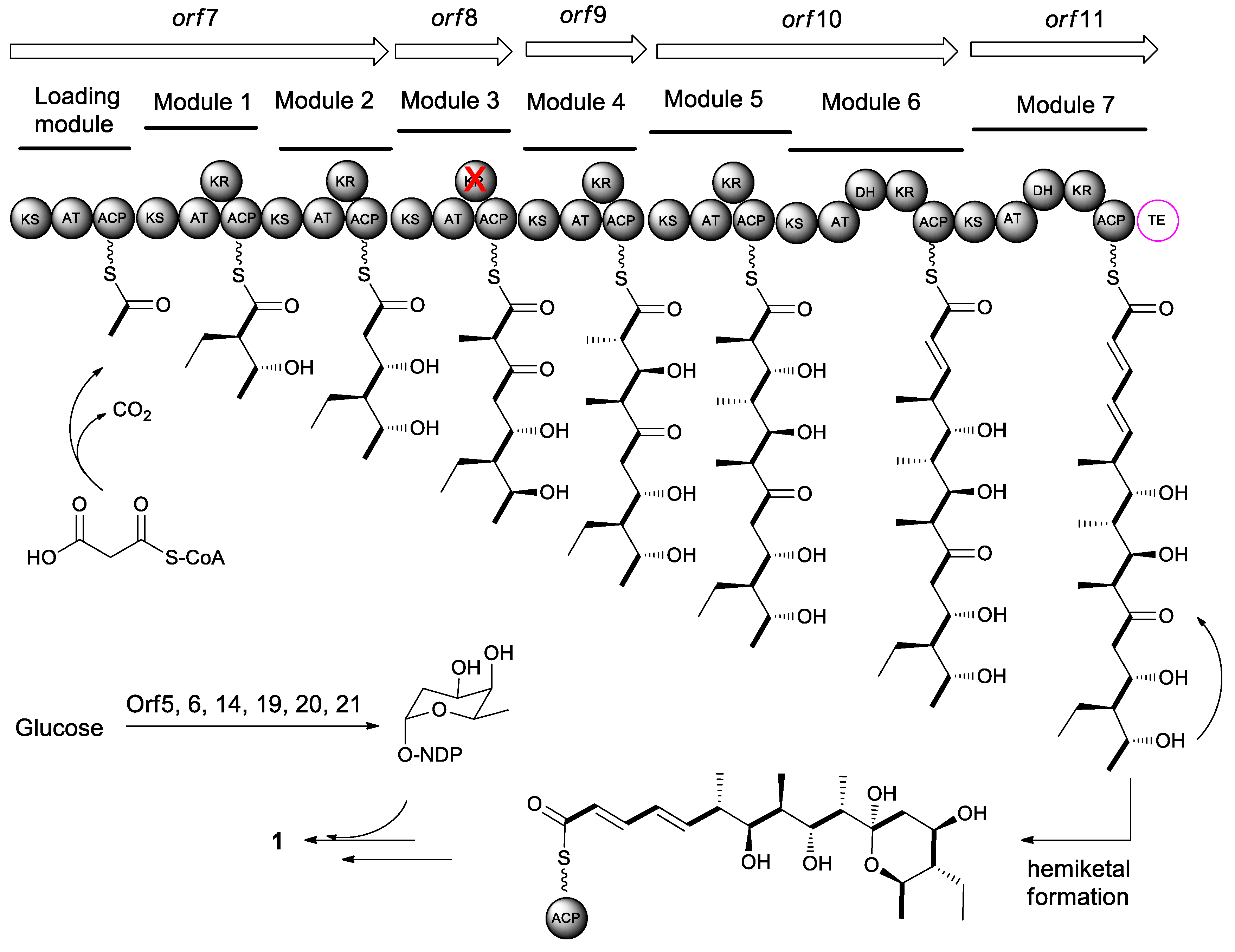Molecules 24 03840 g003 Molecules 24 03840 g003