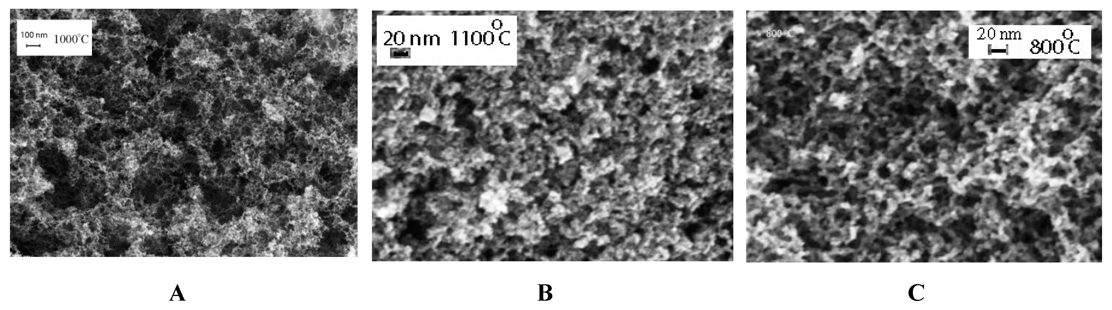 Molecules 24 03847 g003 Molecules 24 03847 g003