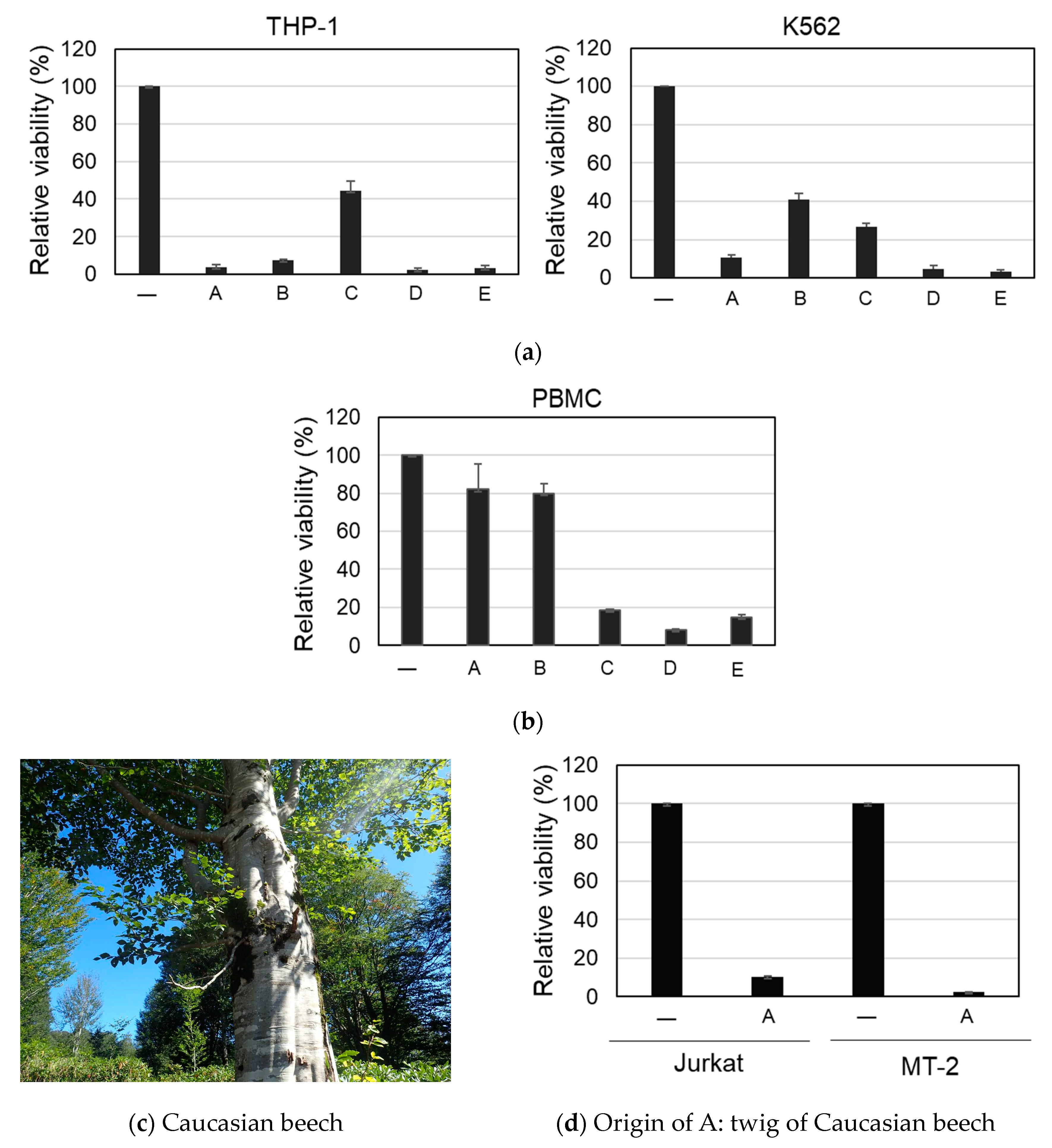 Molecules 24 03850 g001