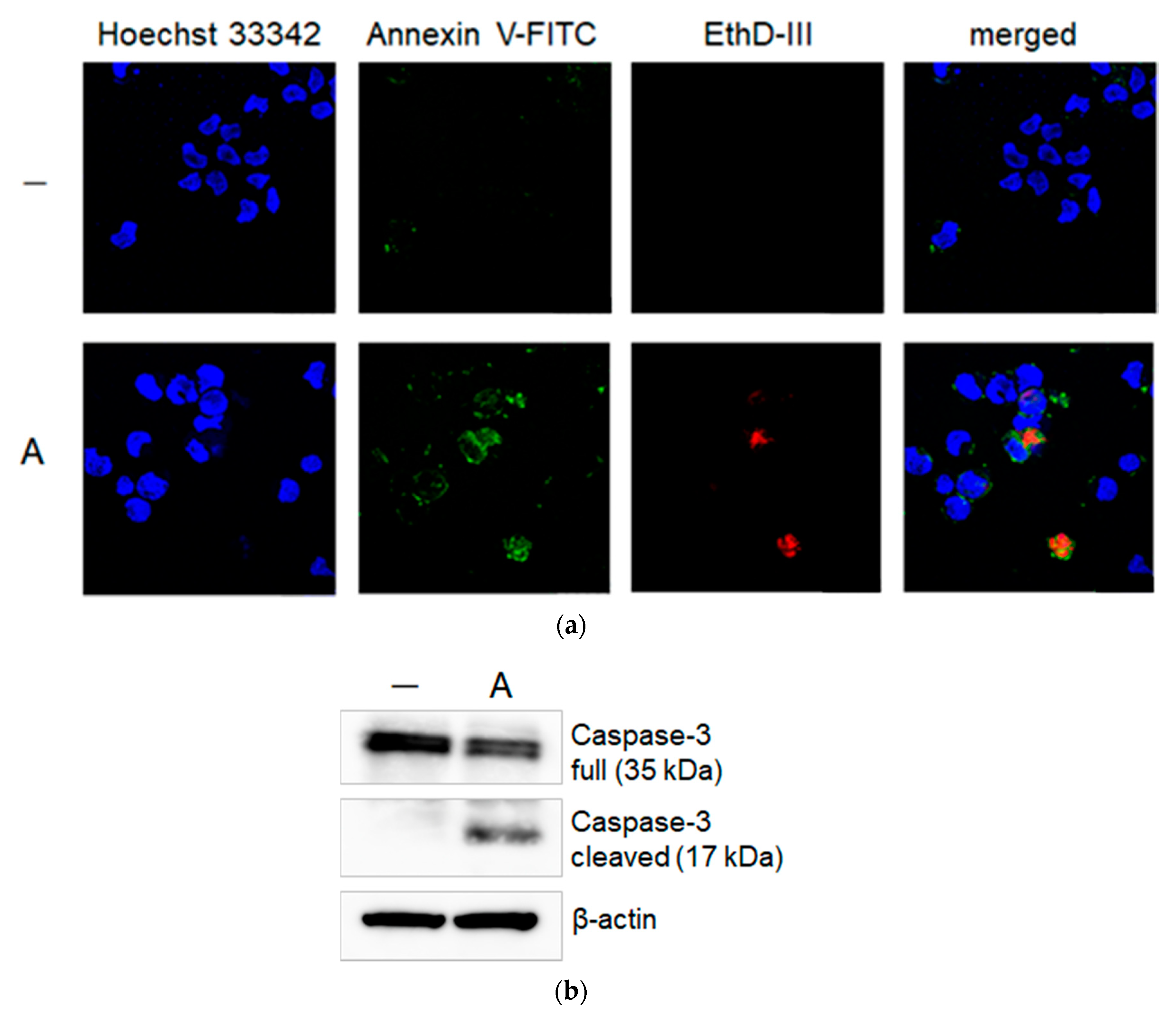 Molecules 24 03850 g002