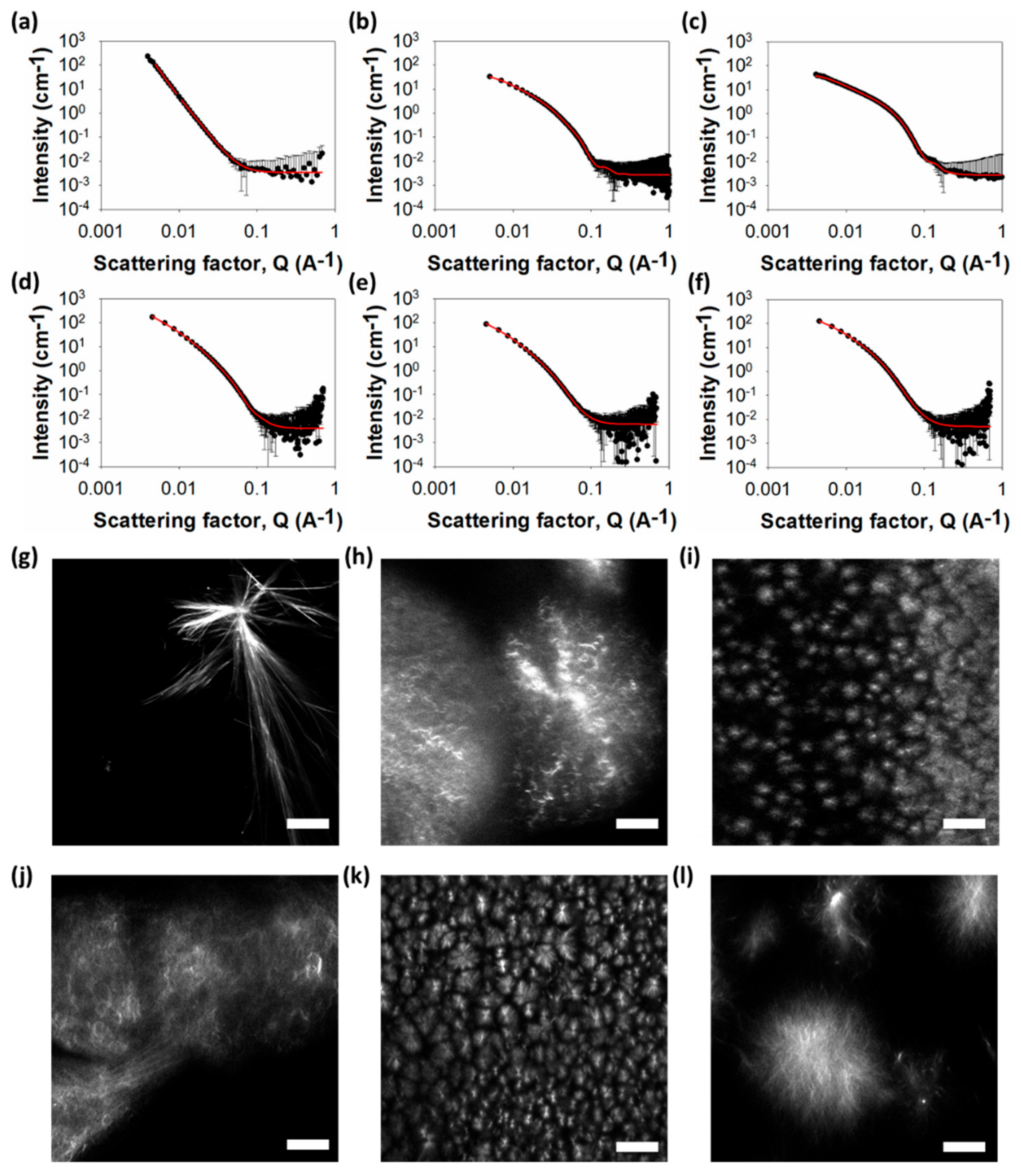 Molecules 24 03855 g003