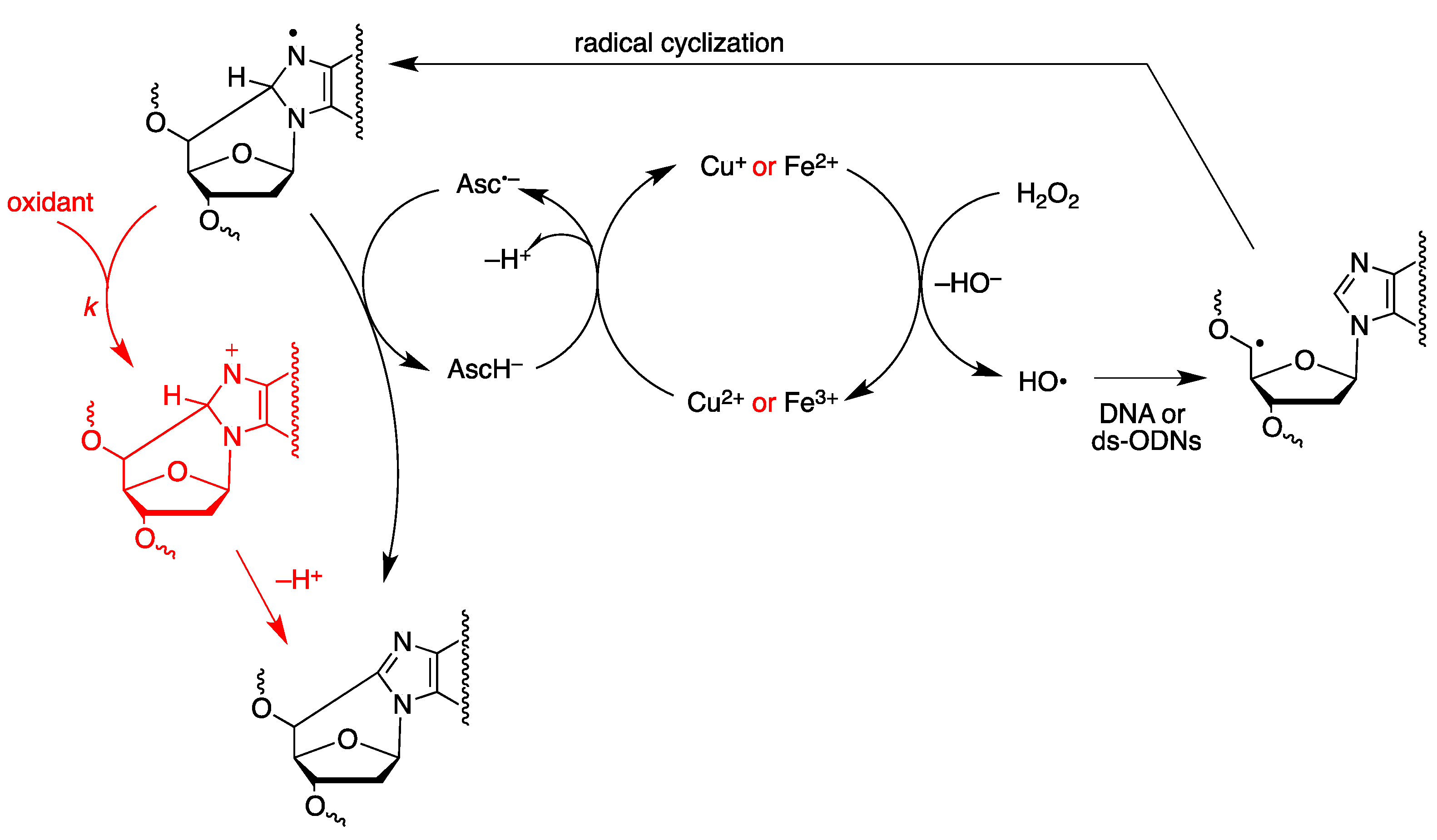 Molecules 24 03860 g015 Molecules 24 03860 g015