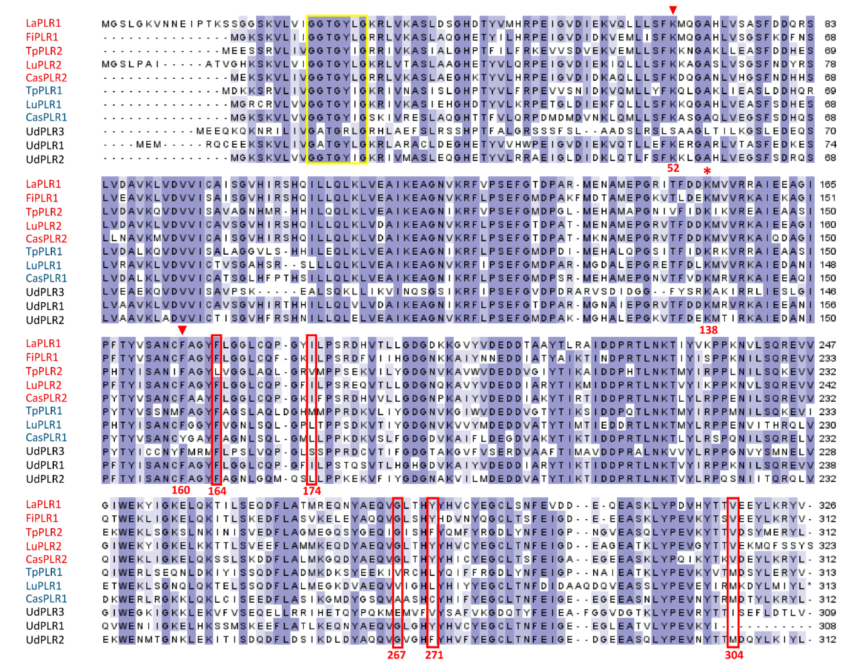 Molecules 24 03863 g004