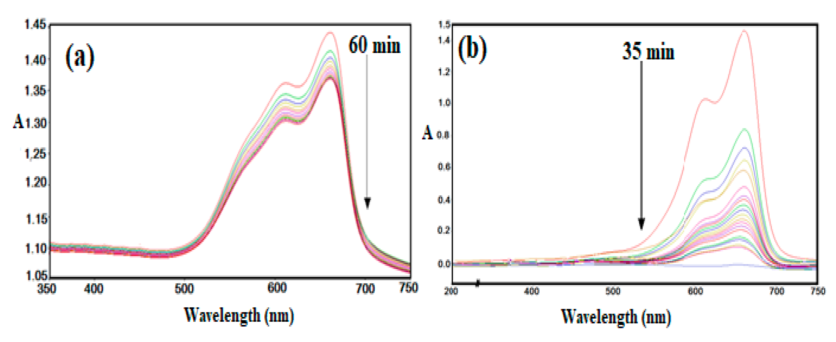 Molecules 24 03867 g012 Molecules 24 03867 g012