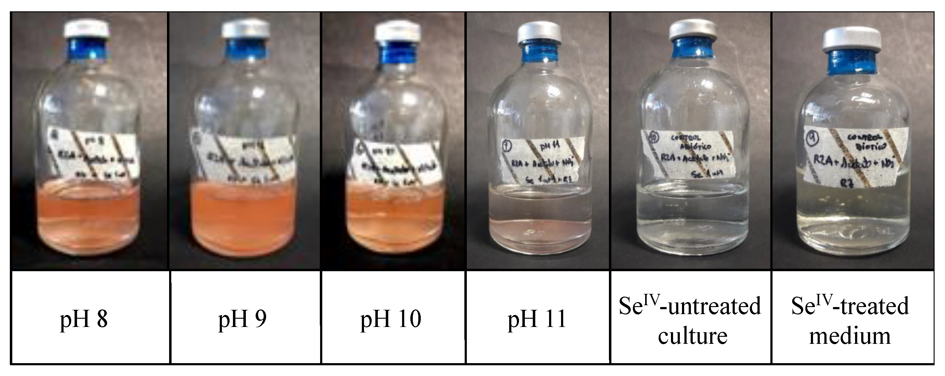 Molecules 24 03868 g003
