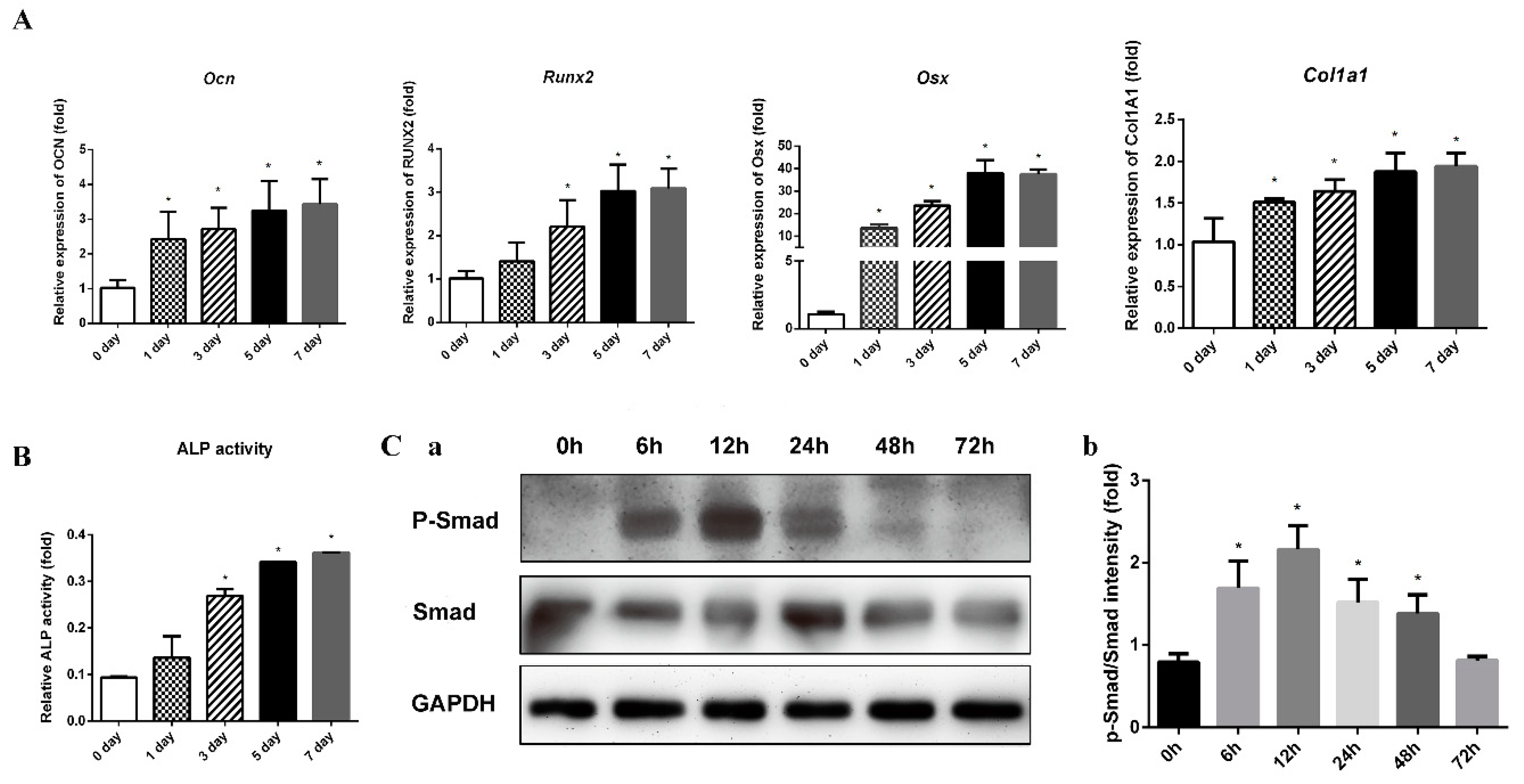 Molecules 24 03875 g002