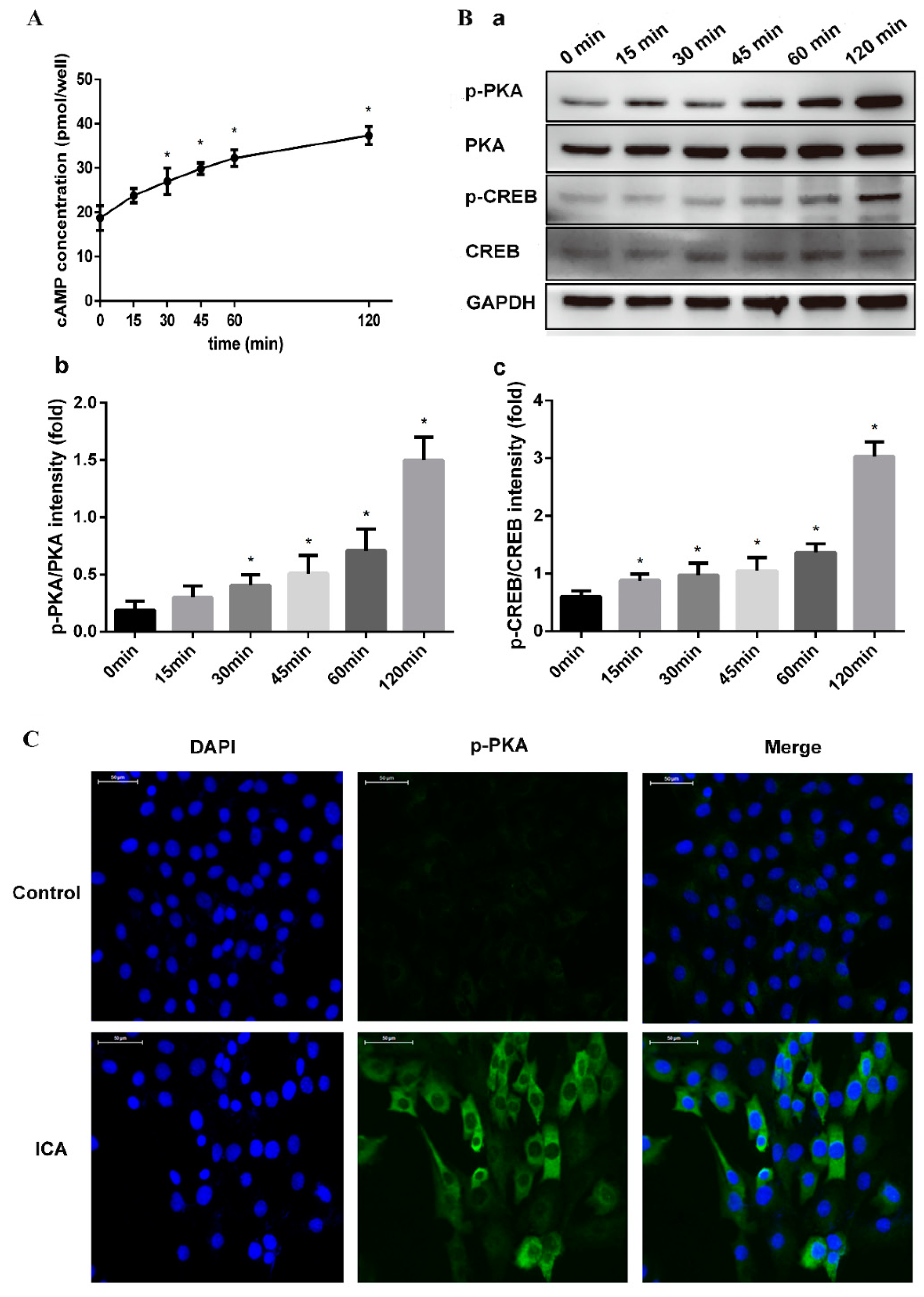 Molecules 24 03875 g005