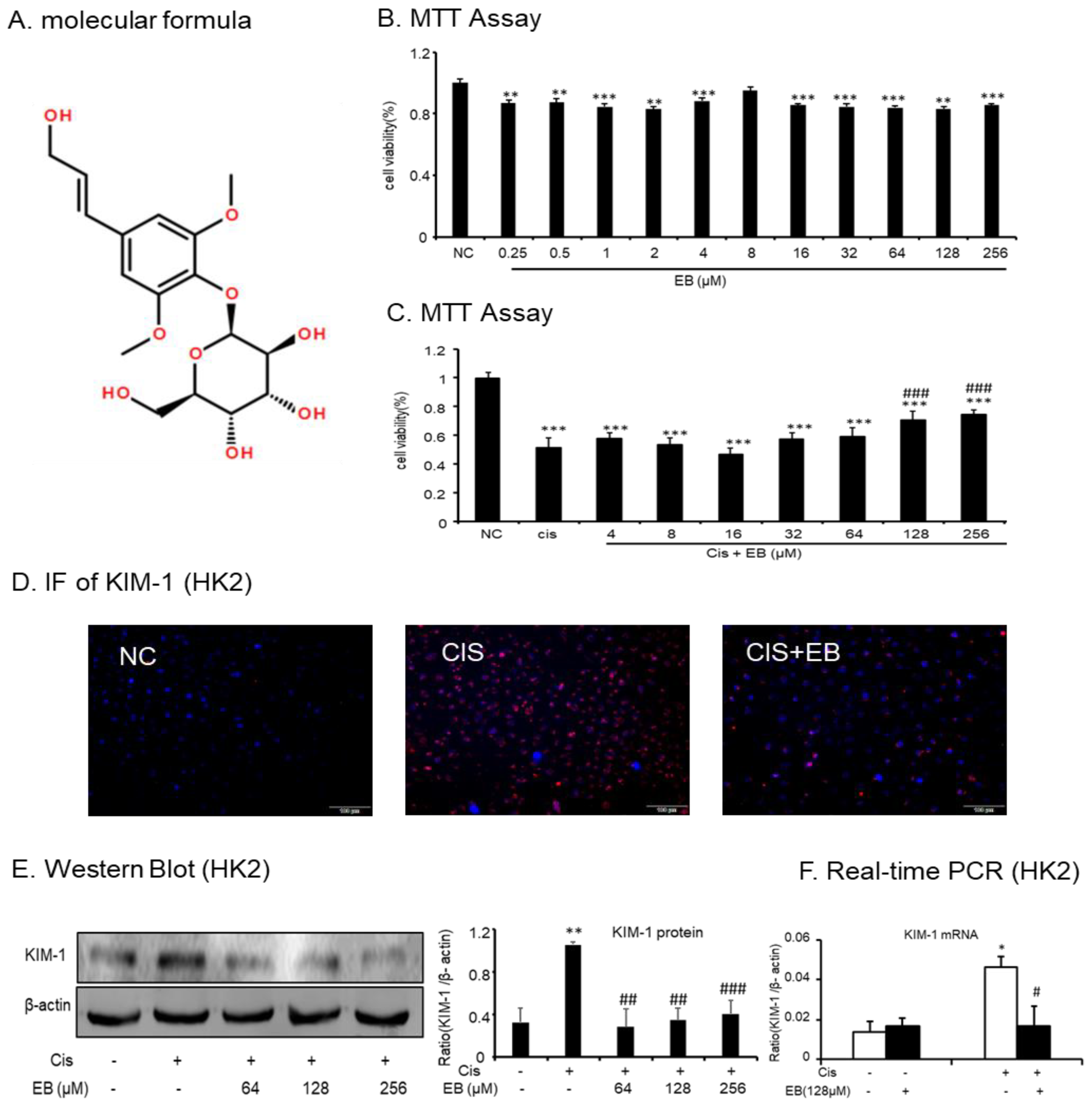 Molecules 24 03876 g001