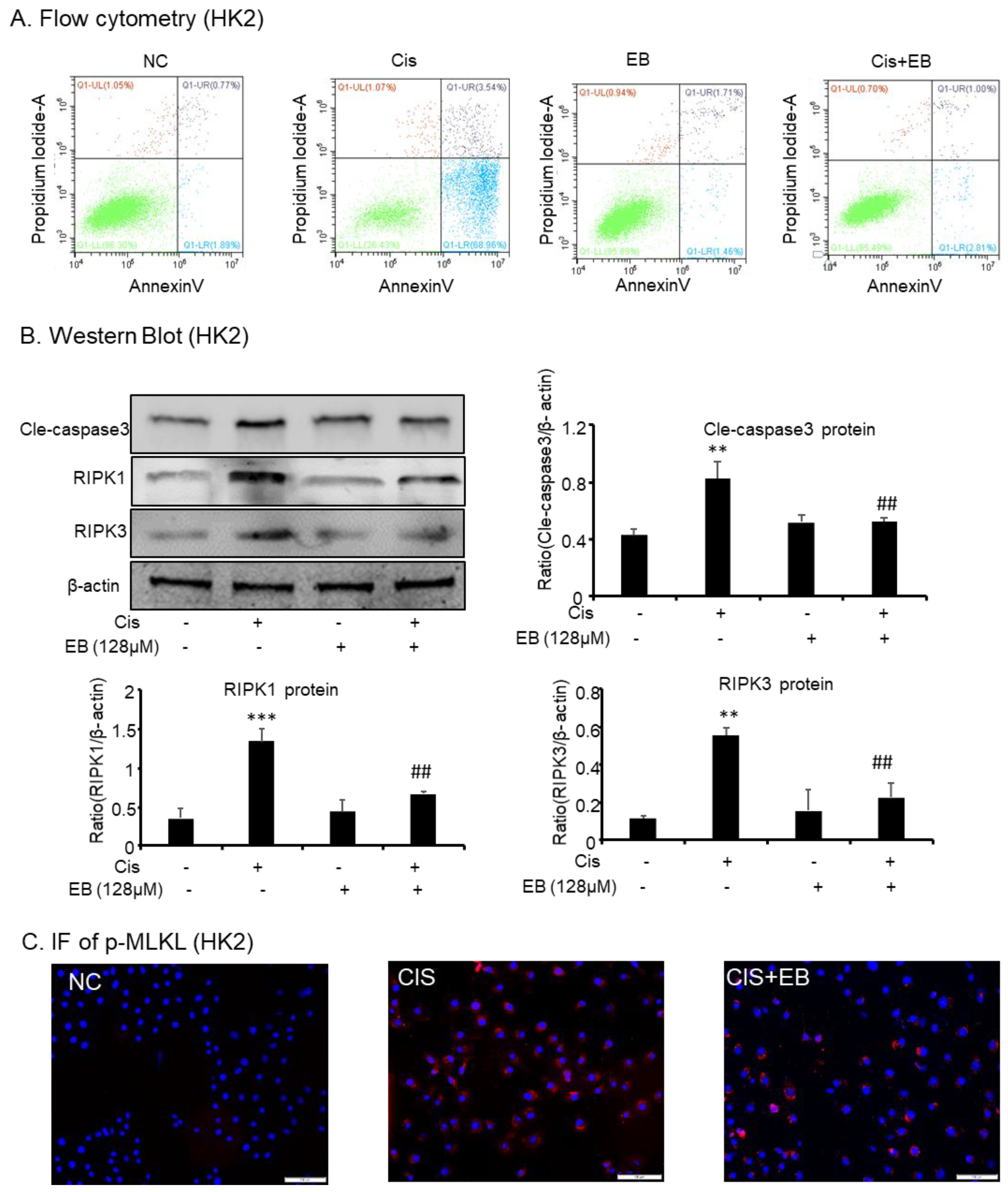 Molecules 24 03876 g003