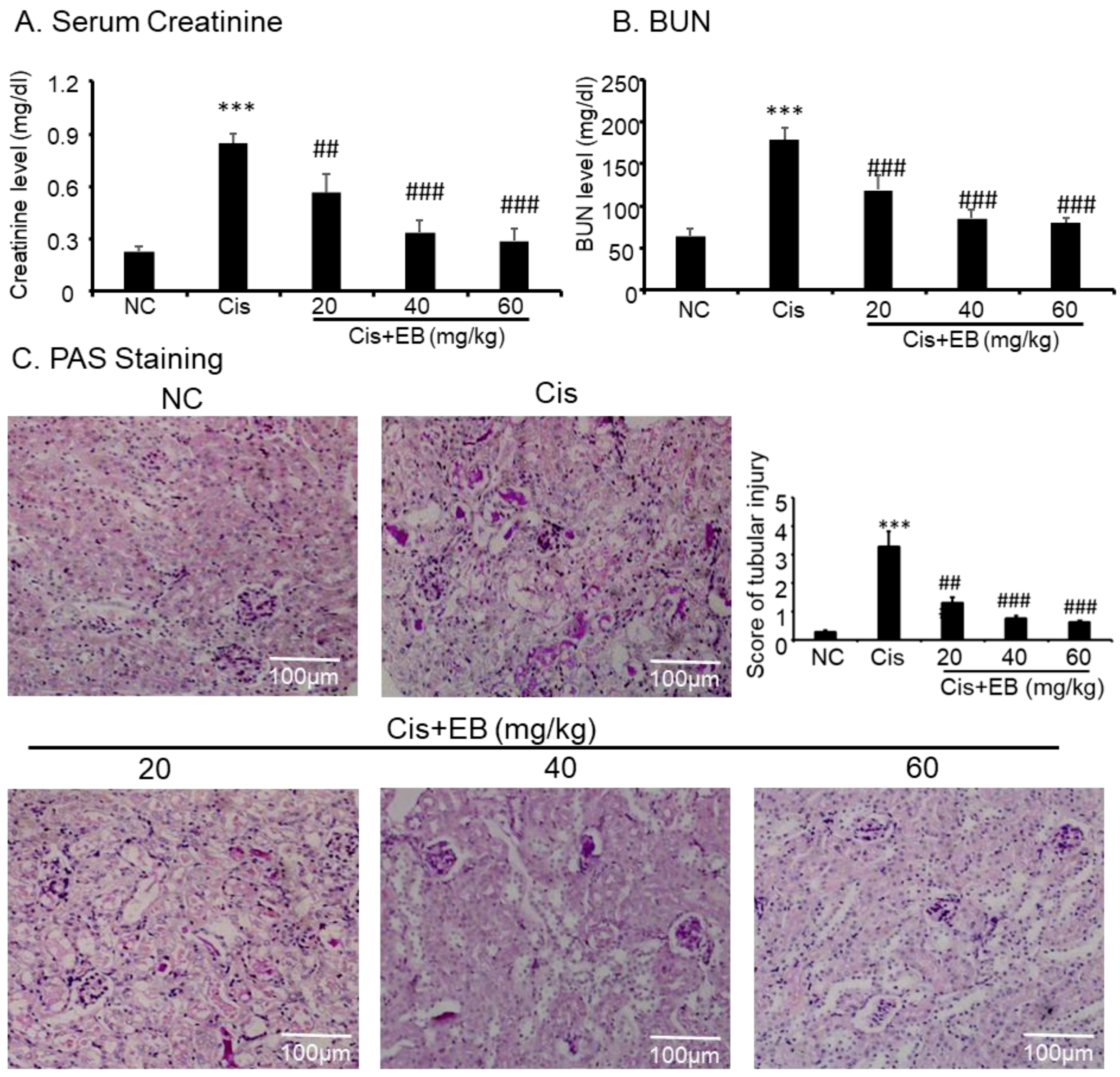 Molecules 24 03876 g004