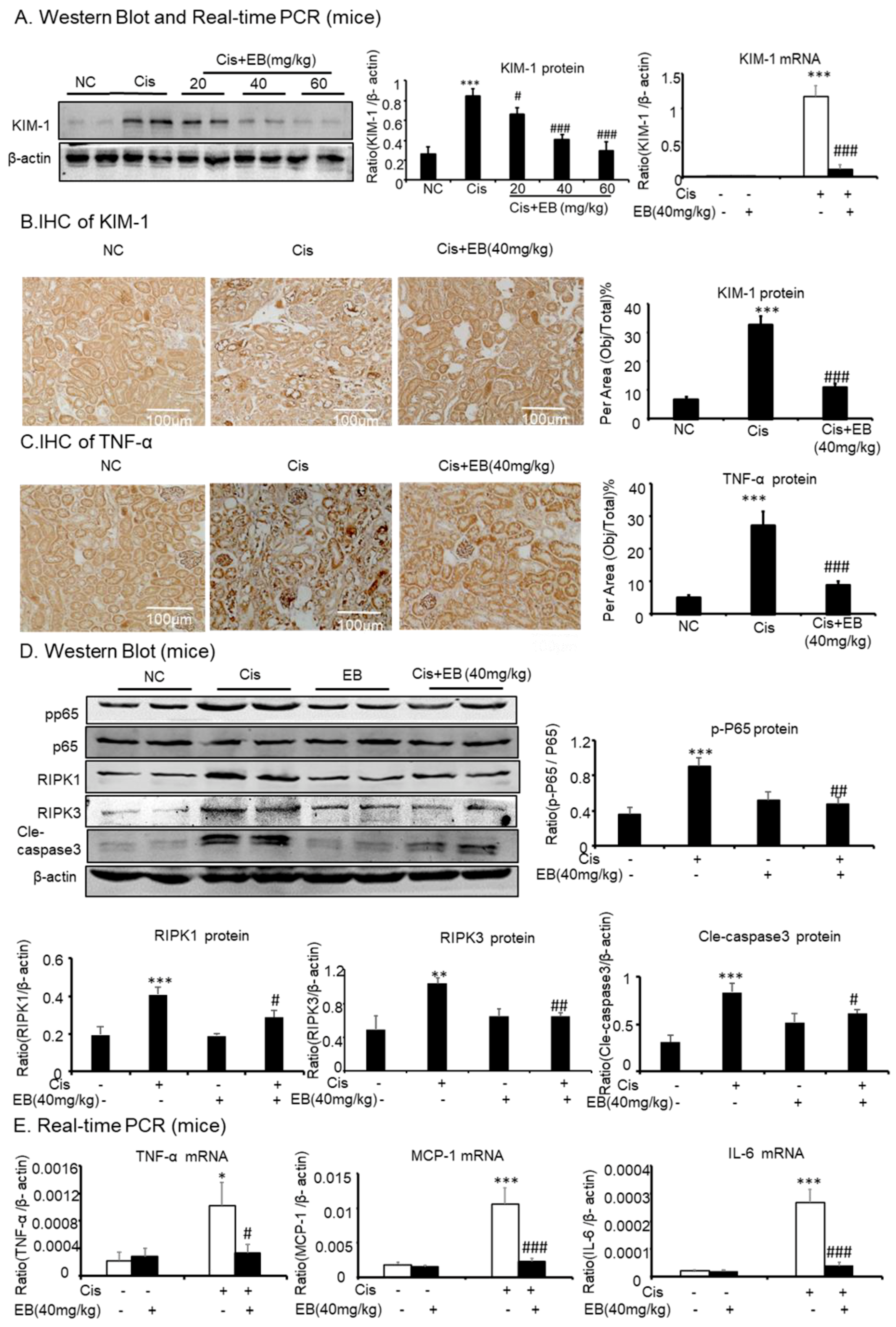 Molecules 24 03876 g005