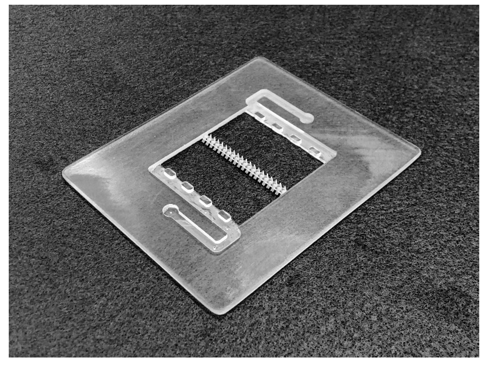 Molecules 24 03877 g006