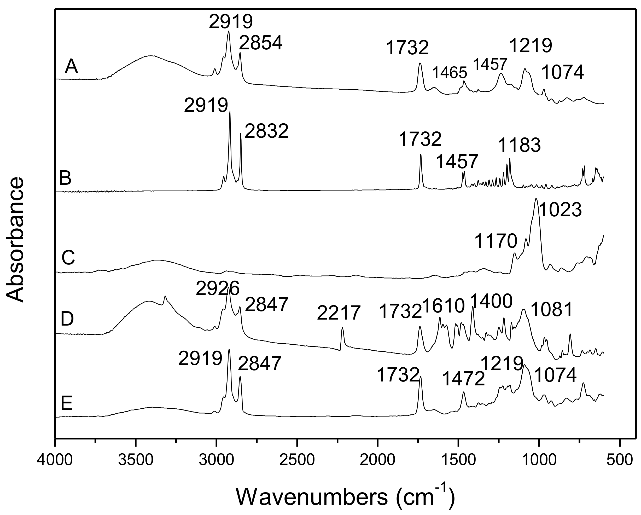 Molecules 24 03881 g002 550
