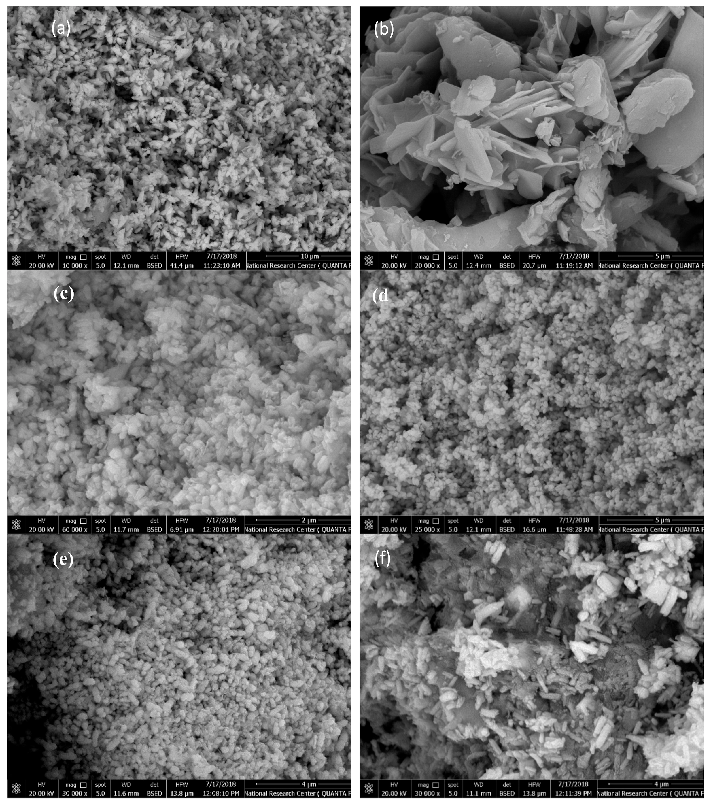 Molecules 24 03884 g002a Molecules 24 03884 g002a