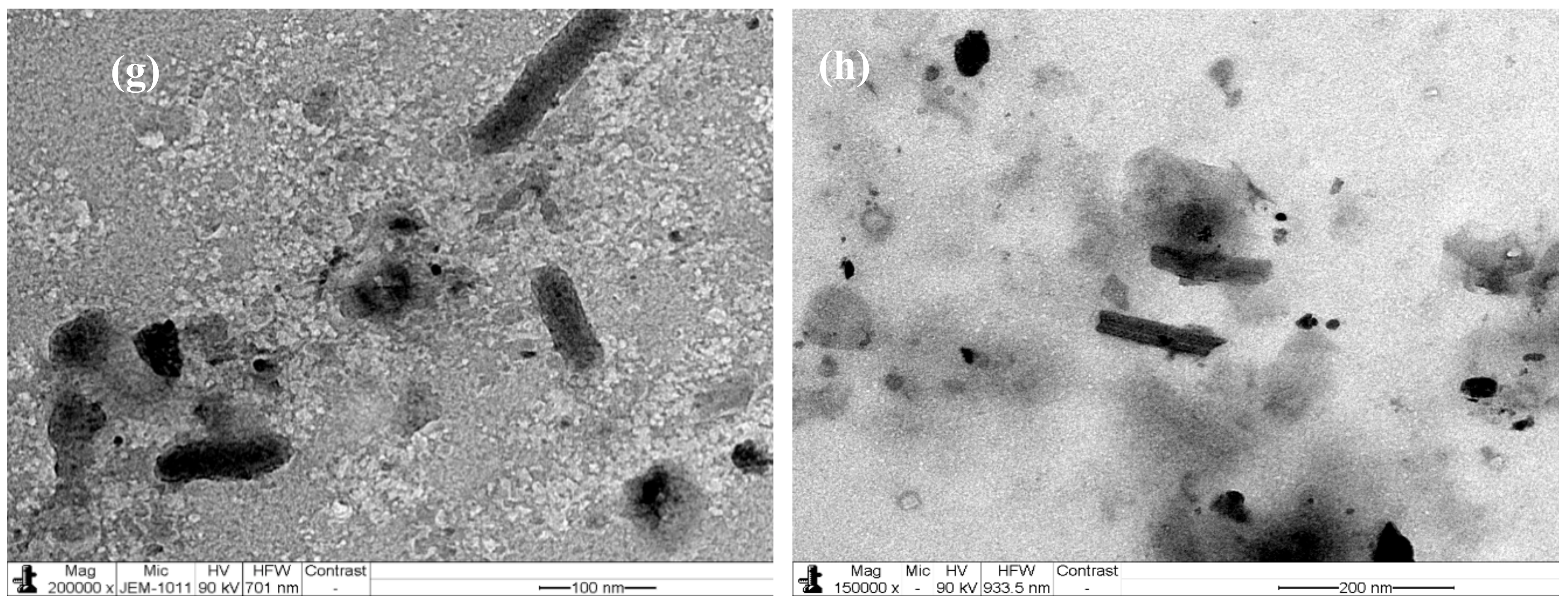 Molecules 24 03884 g002b Molecules 24 03884 g002b