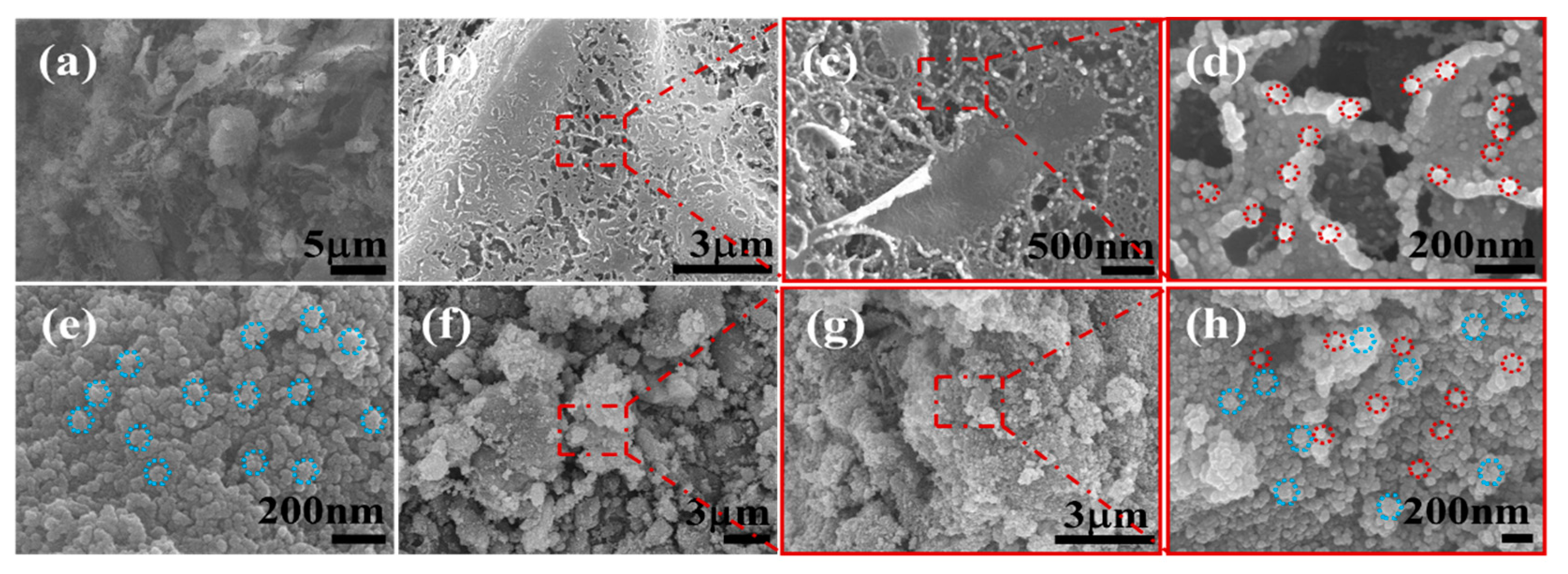 Molecules 24 03888 g001