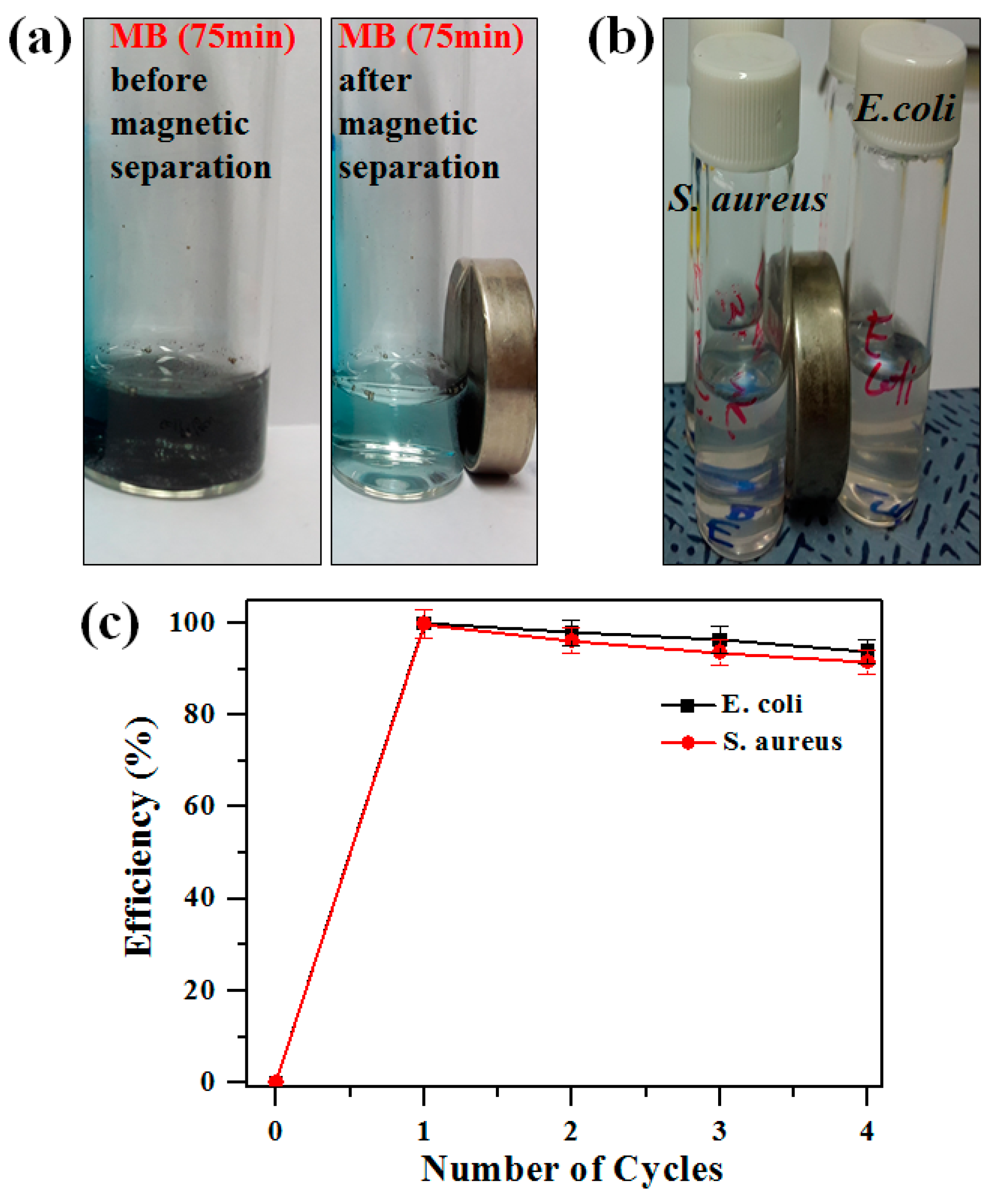 Molecules 24 03888 g007