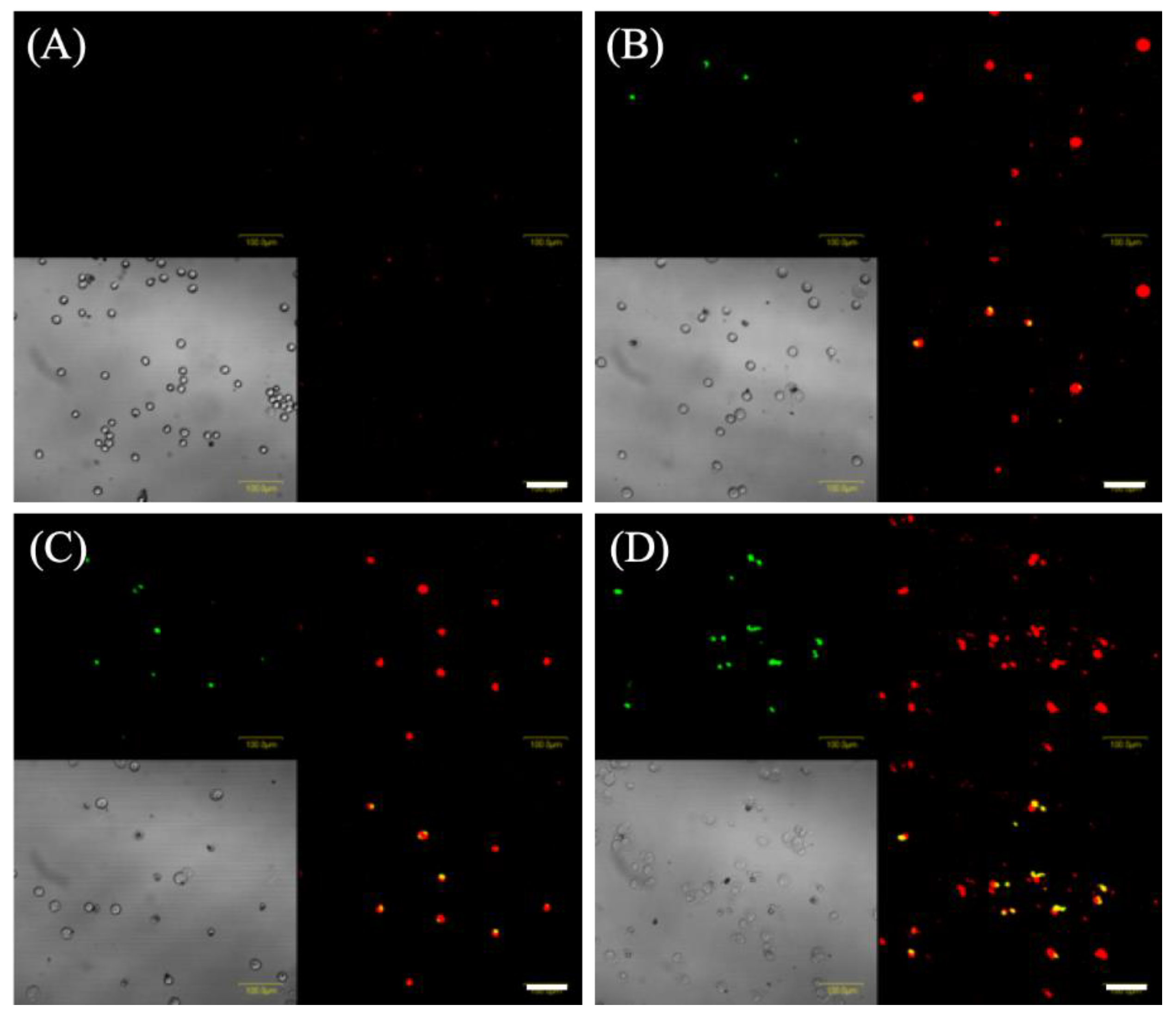 Molecules 24 03891 g005 Molecules 24 03891 g005