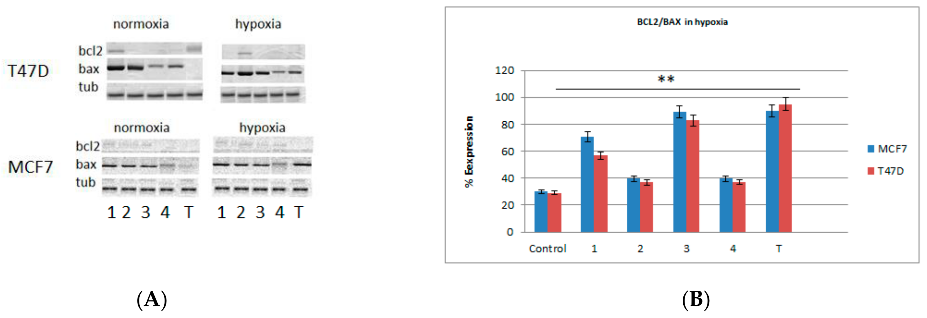 Molecules 24 03902 g003 Molecules 24 03902 g003