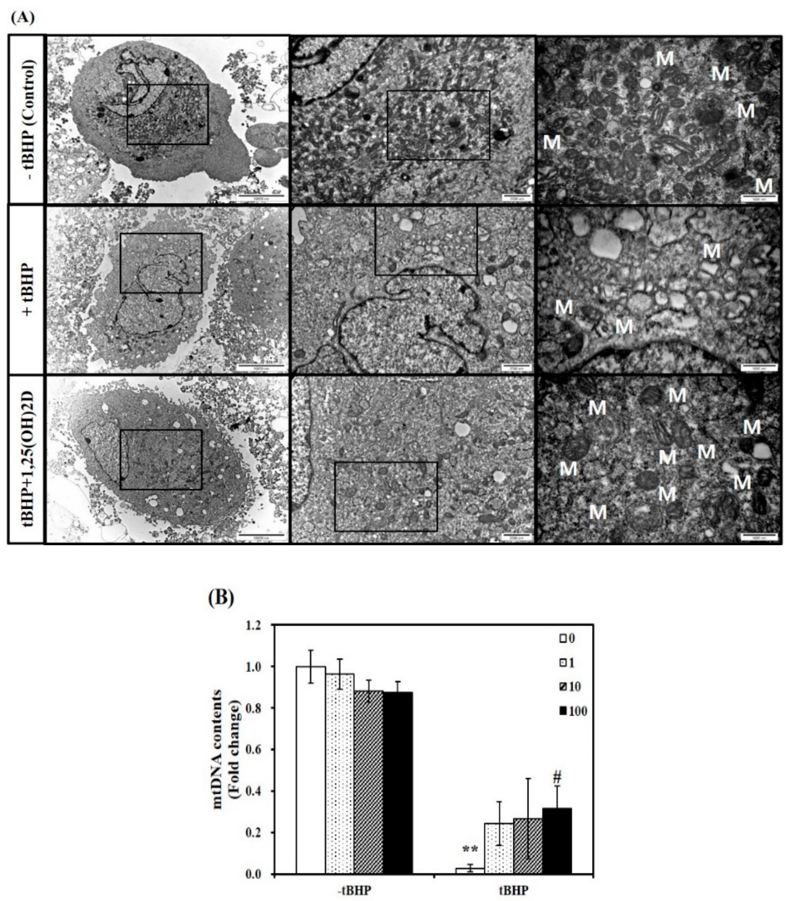 Molecules 24 03903 g002 Molecules 24 03903 g002