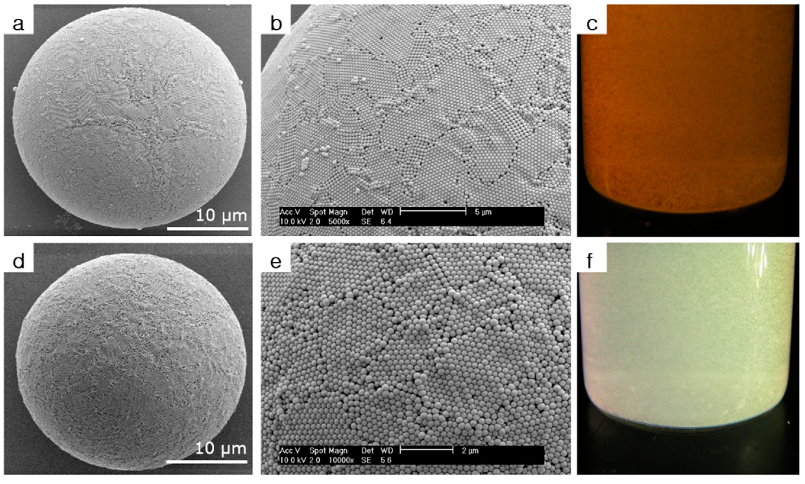 Molecules 24 03905 g002 Molecules 24 03905 g002